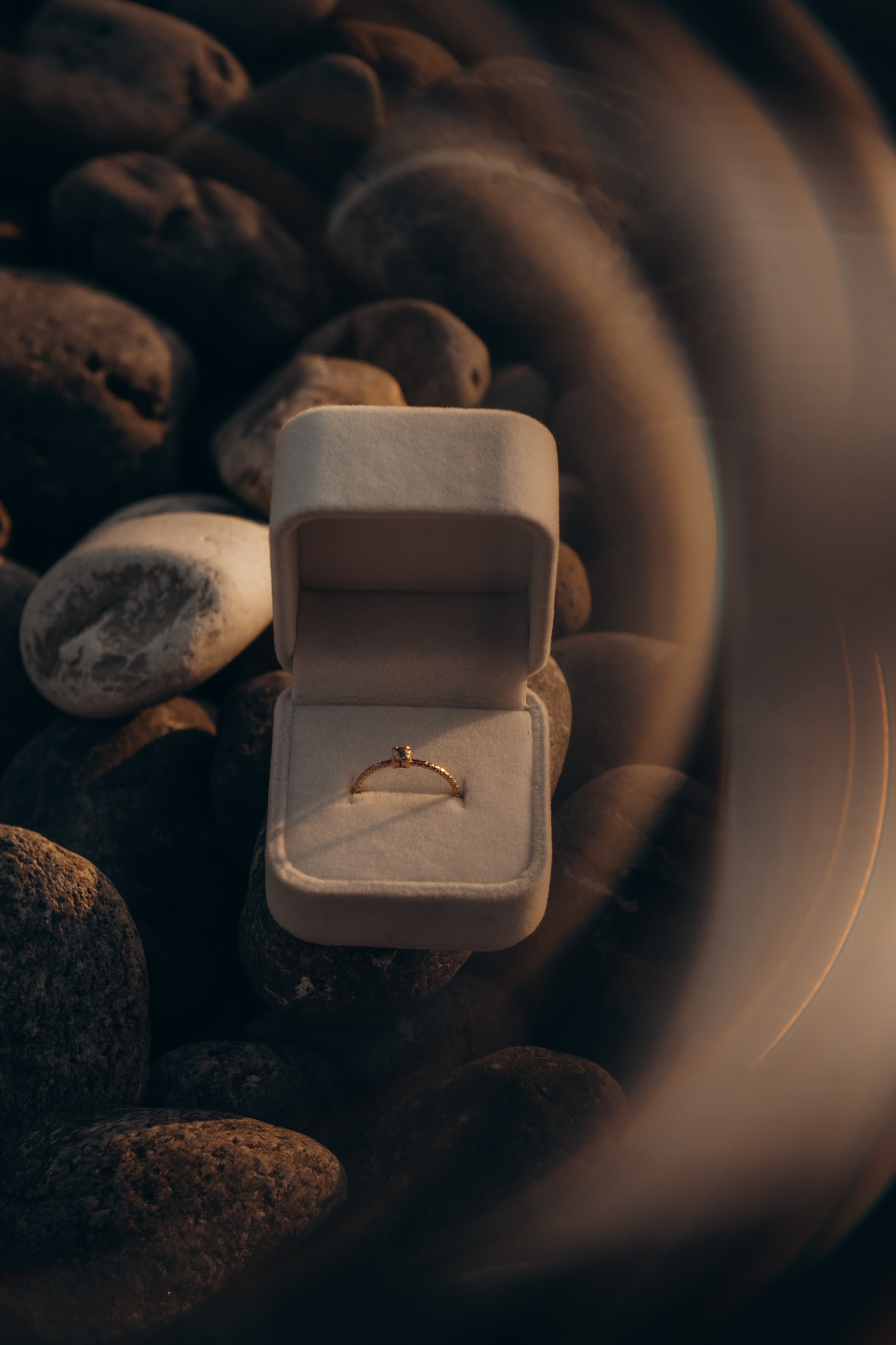 Анастасия и Даниил (предложение). Аплас Анастасия