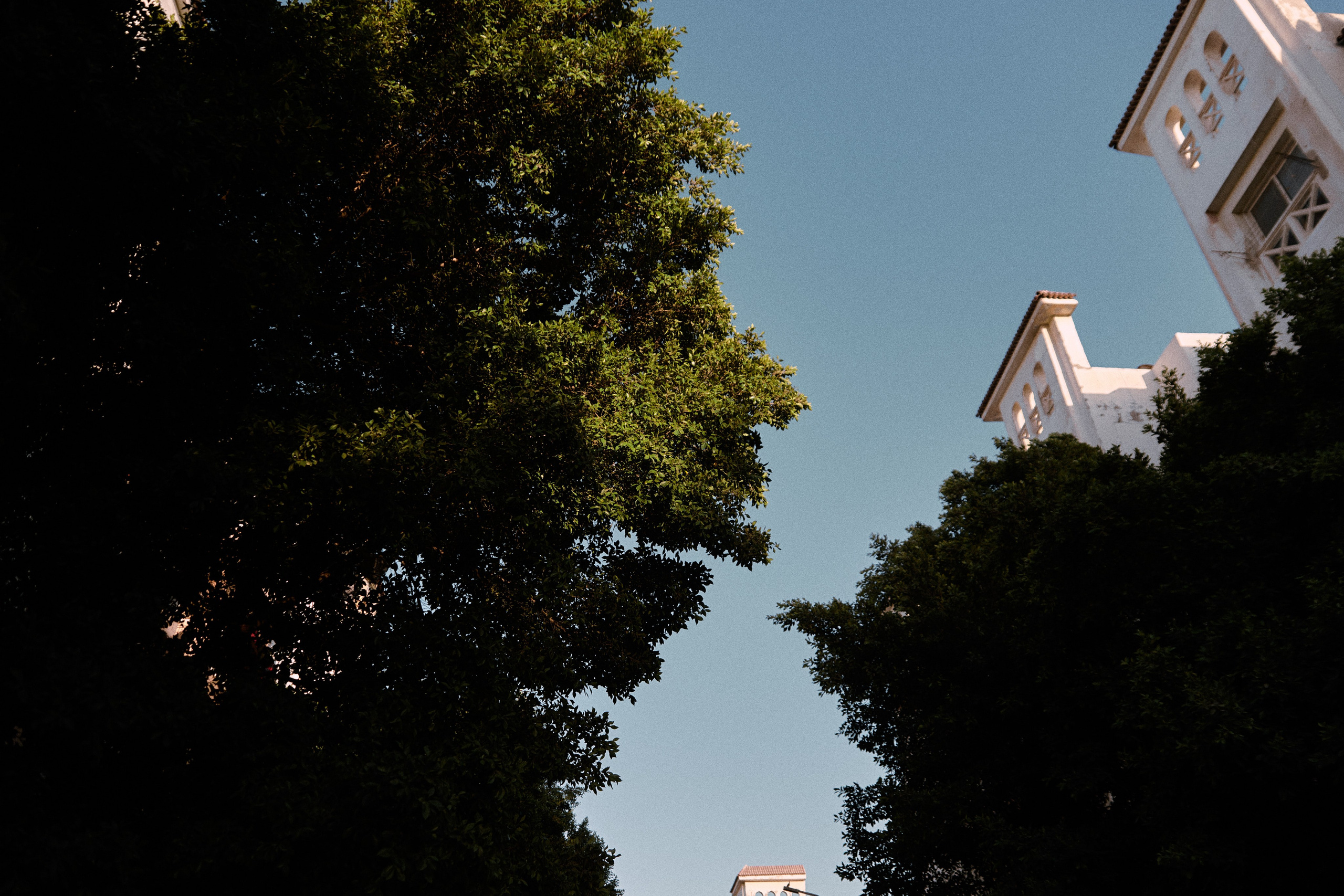 Улица горизонтальная. Jorgis — фотограф в Хургаде / обучение фотографии