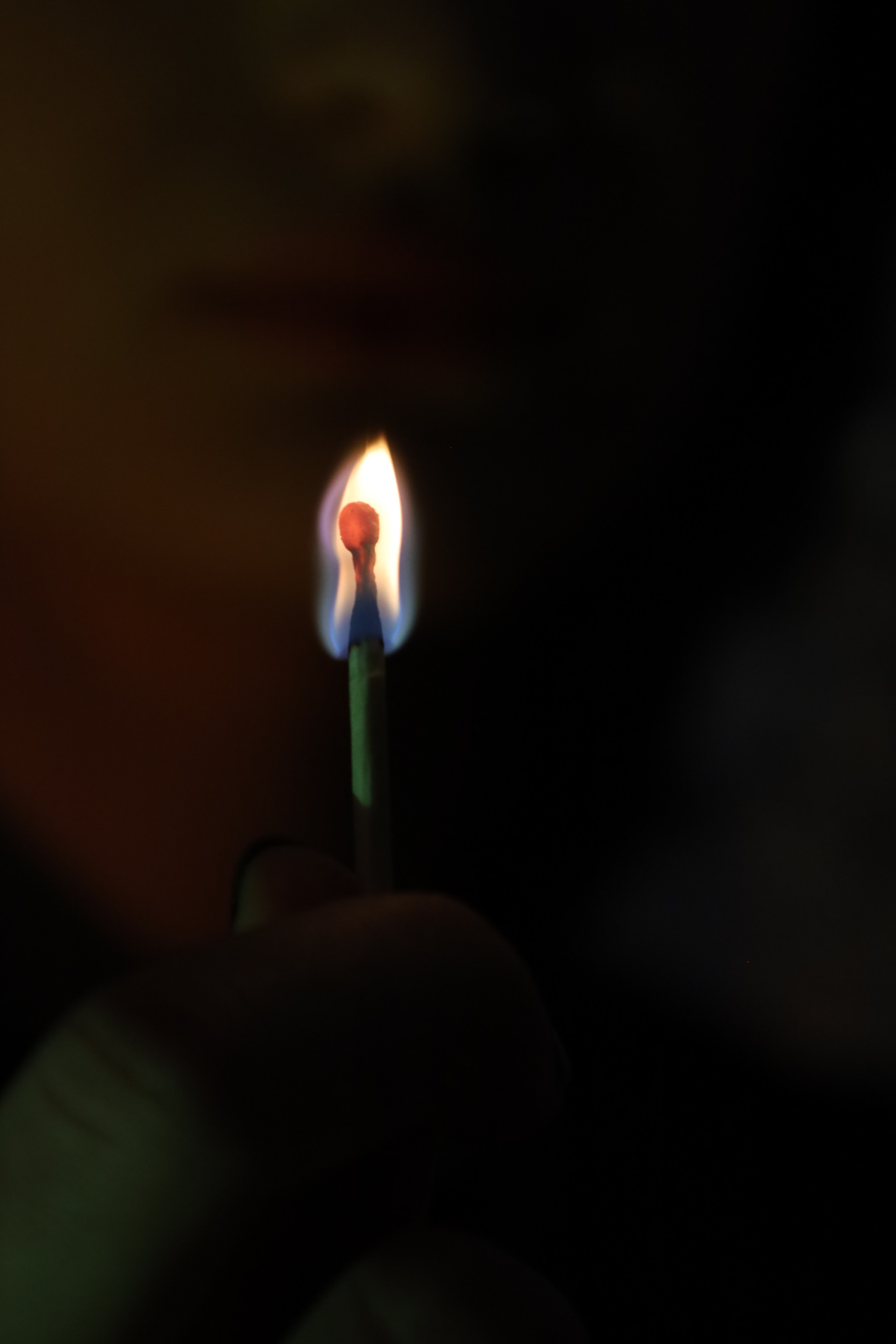 Настя. Фотограф в Губкинском | Александра Артамонова