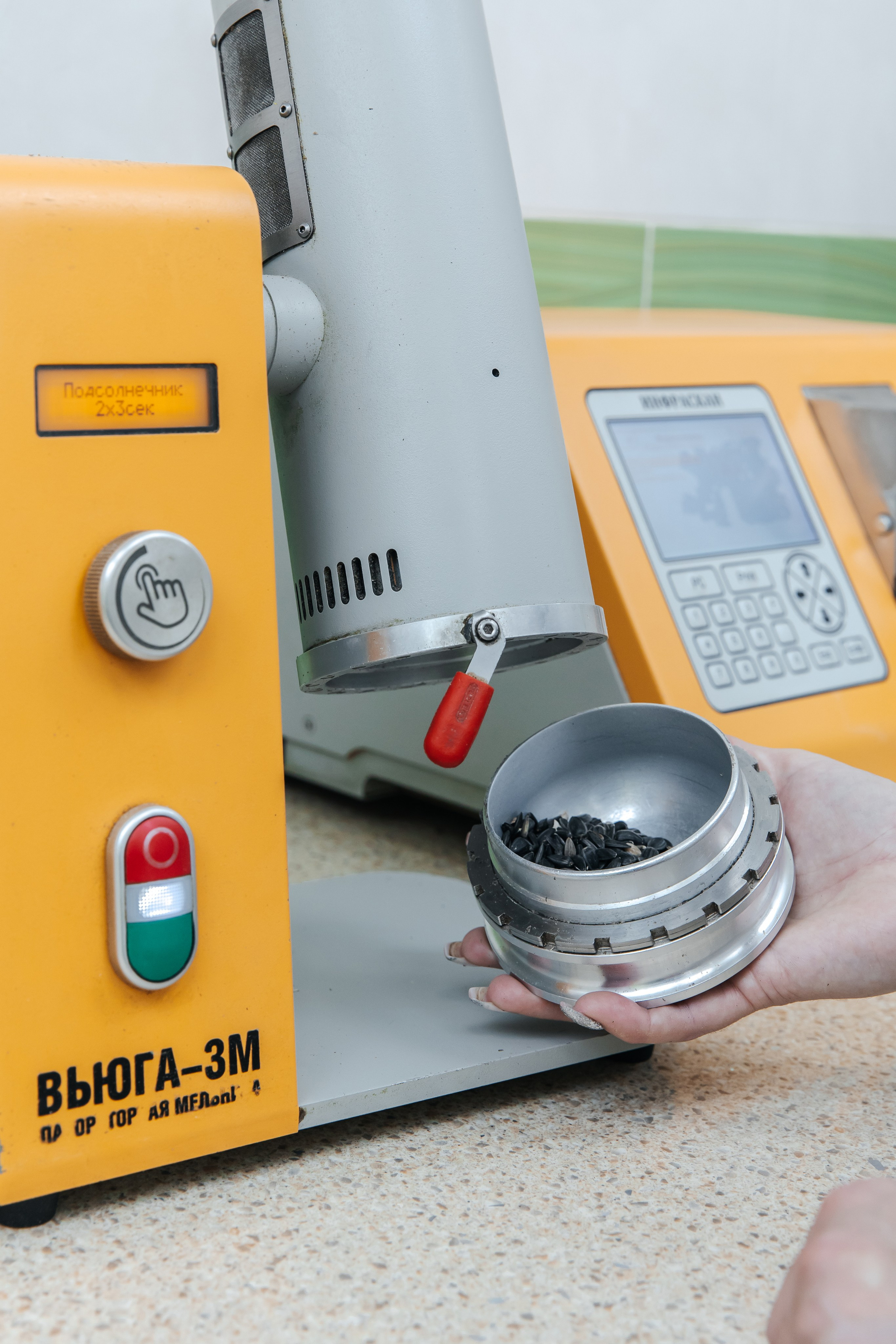 Диво Алтая. Производитель подсолнечного масла. Лихошерстов Андрей — фотограф для бизнеса из Сибири