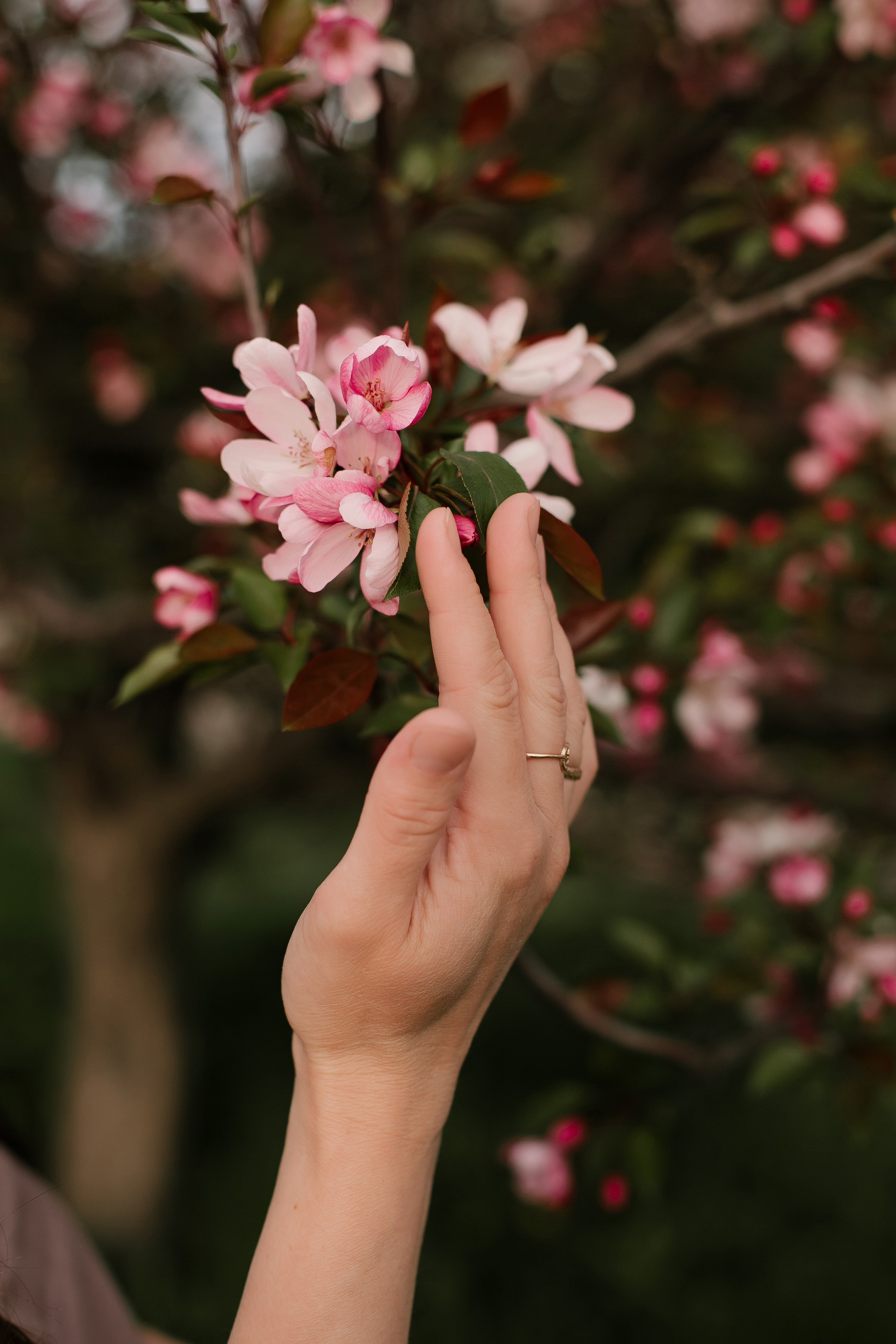 Оля в ожидании малыша. Свадебный, семейный и детский фотограф в г. Абакан респ. Хакасия Любов