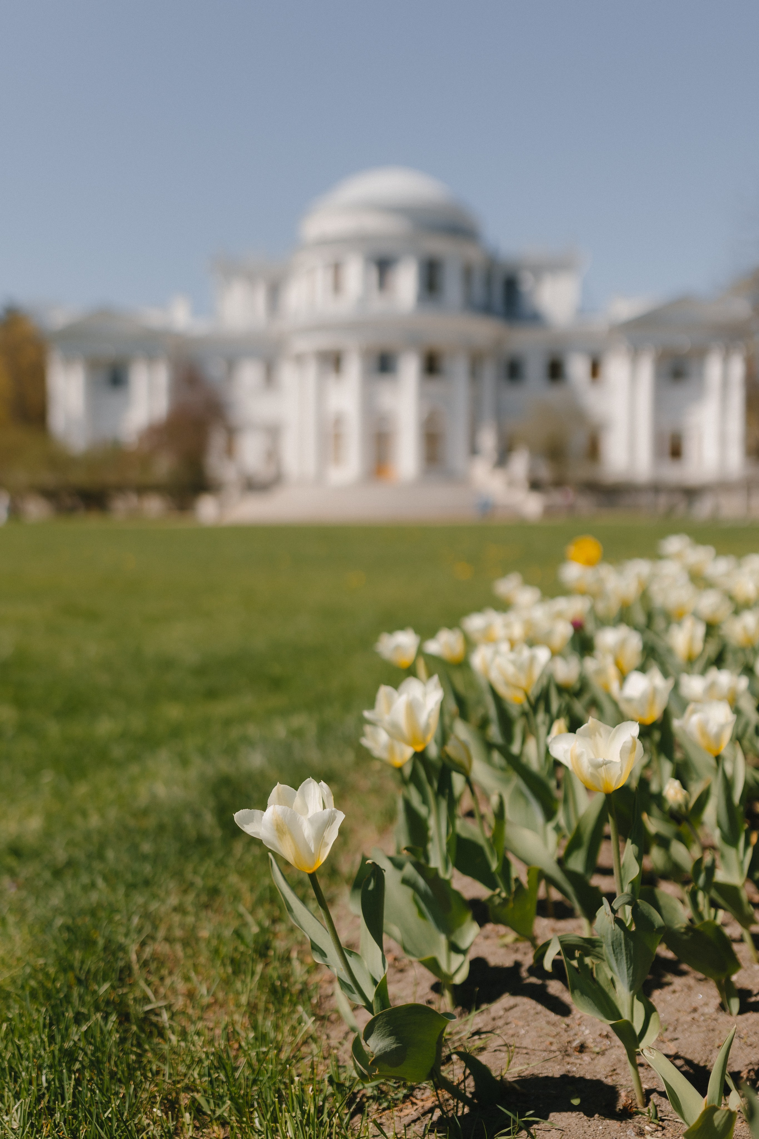 Свадьба в Санкт-Петербурге. Фотограф и видеограф в Мурманске, Москве Екатерина Нечаева