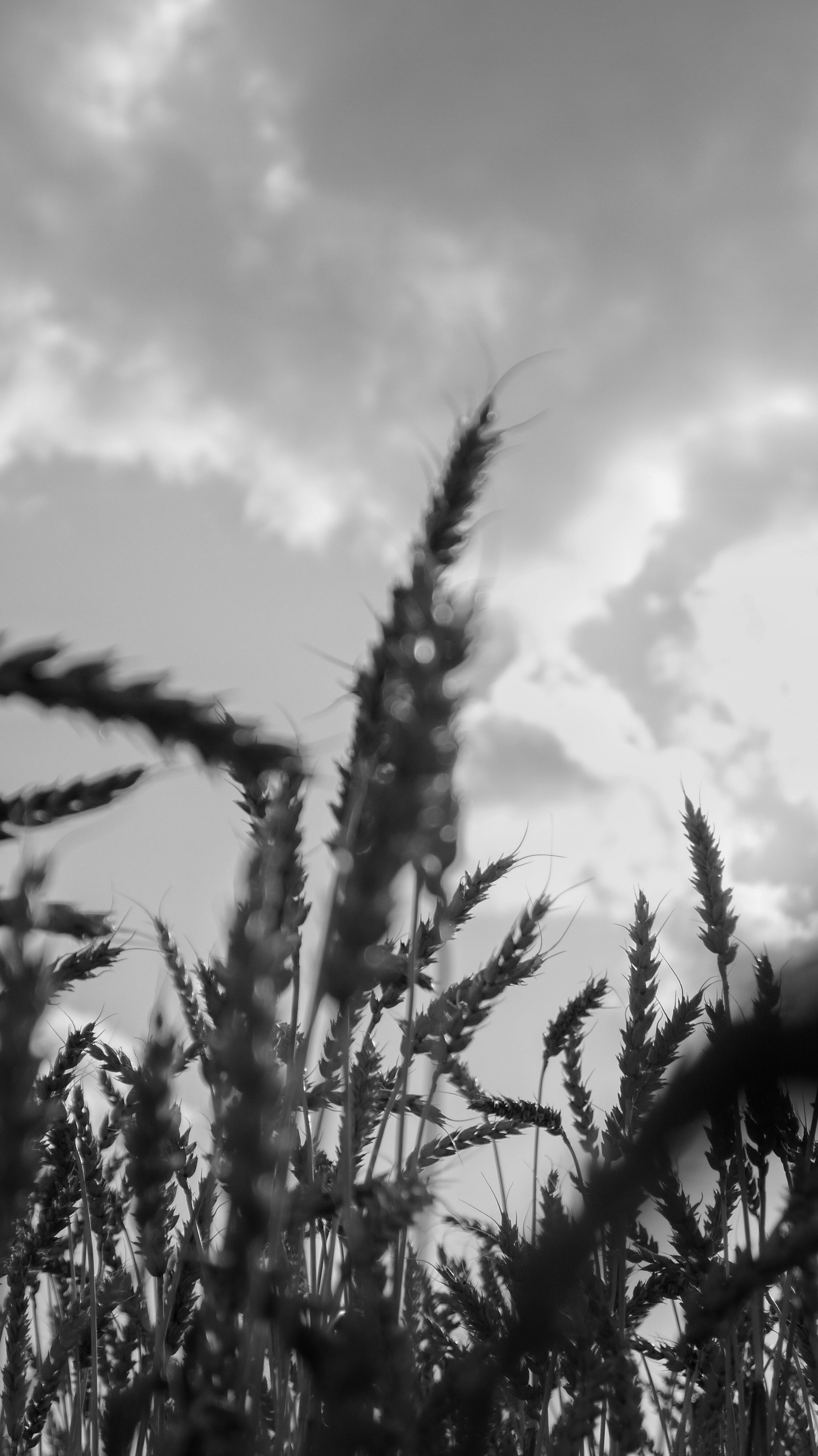 Внутривенные сны (2018-2023)