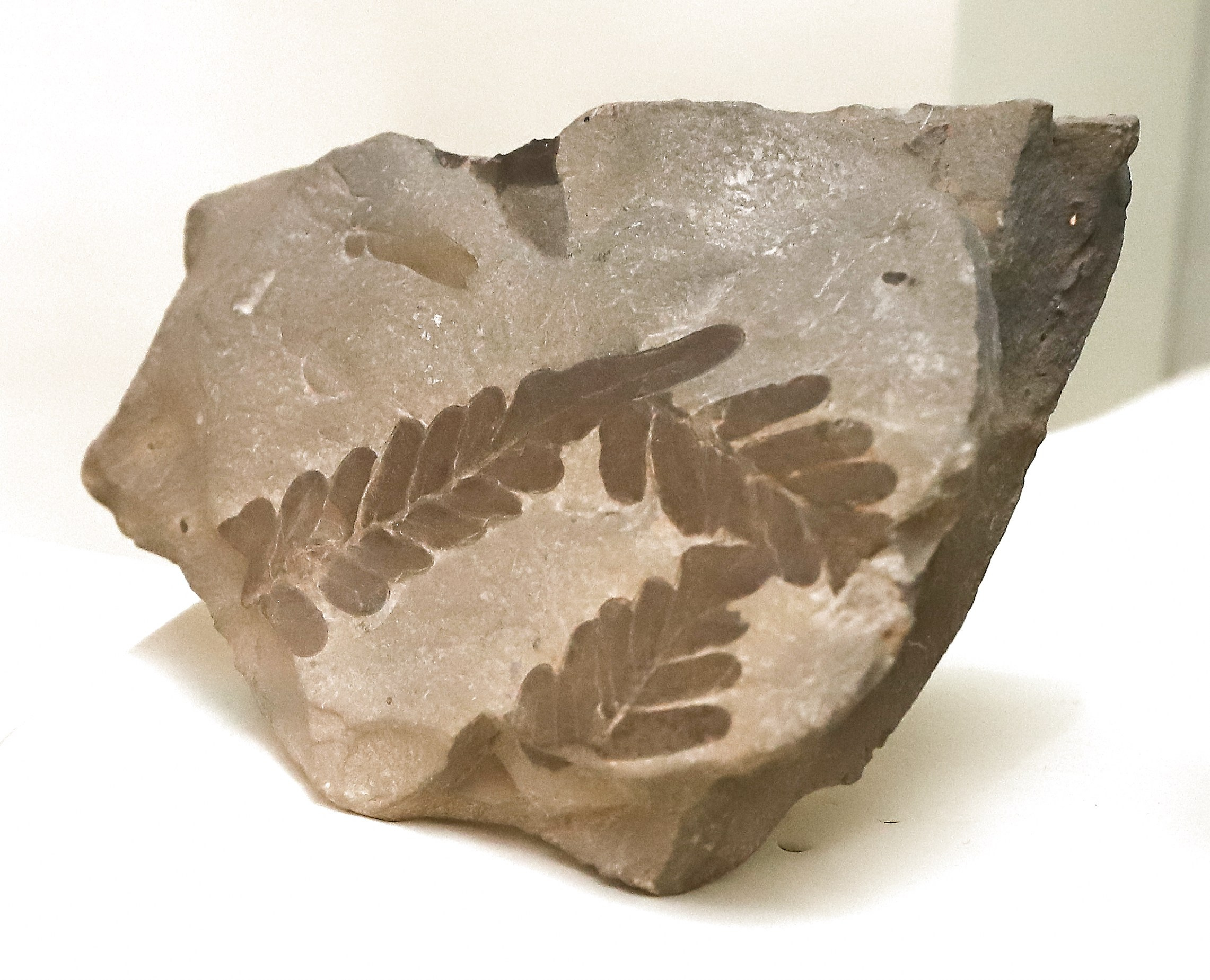 Каменная летопись. Фотограф Юлия Маринина