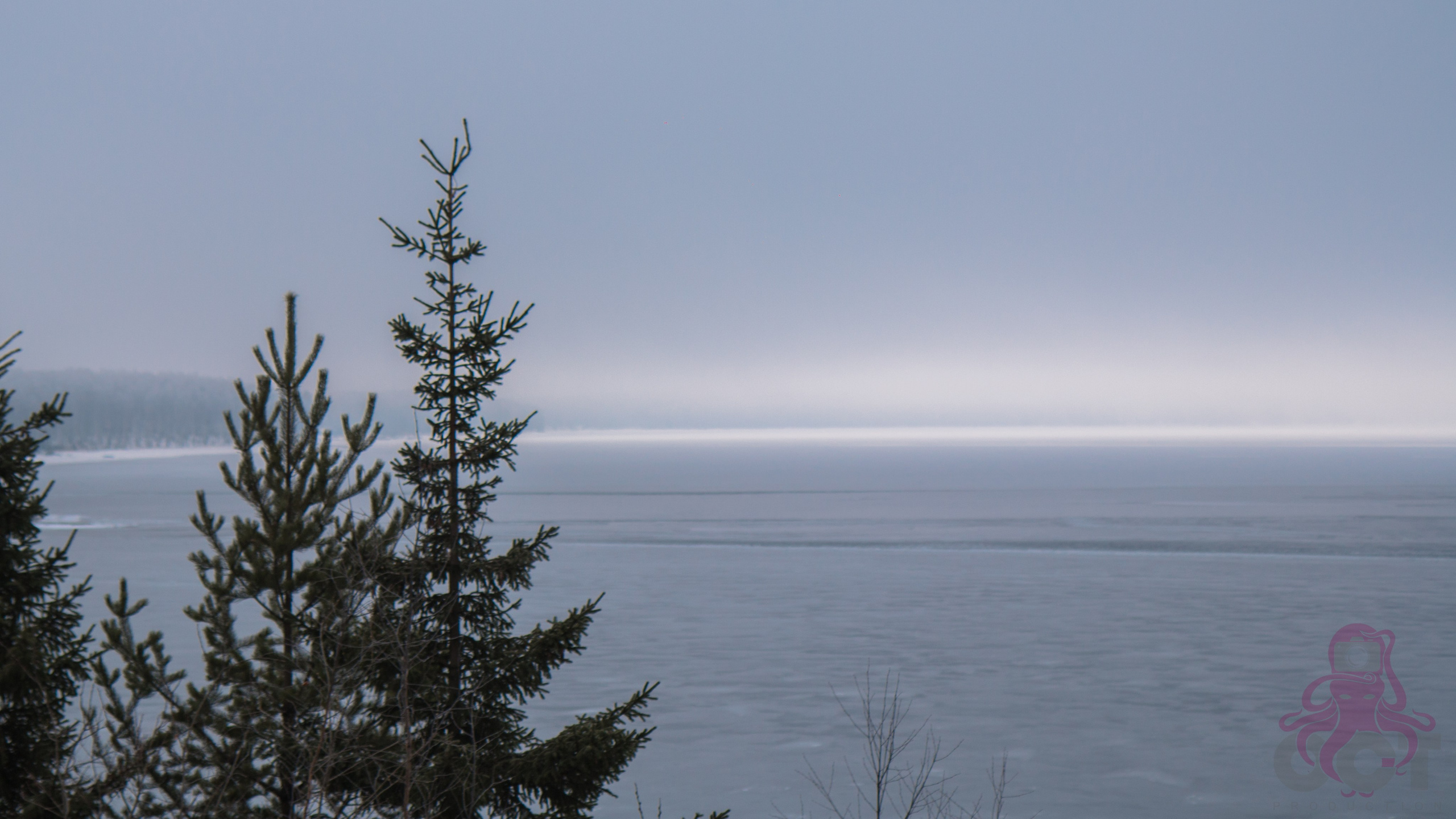 Буддистский монастырь Шад Тчуп Линг. Предметный и репортажный фотограф Алексей Кротов