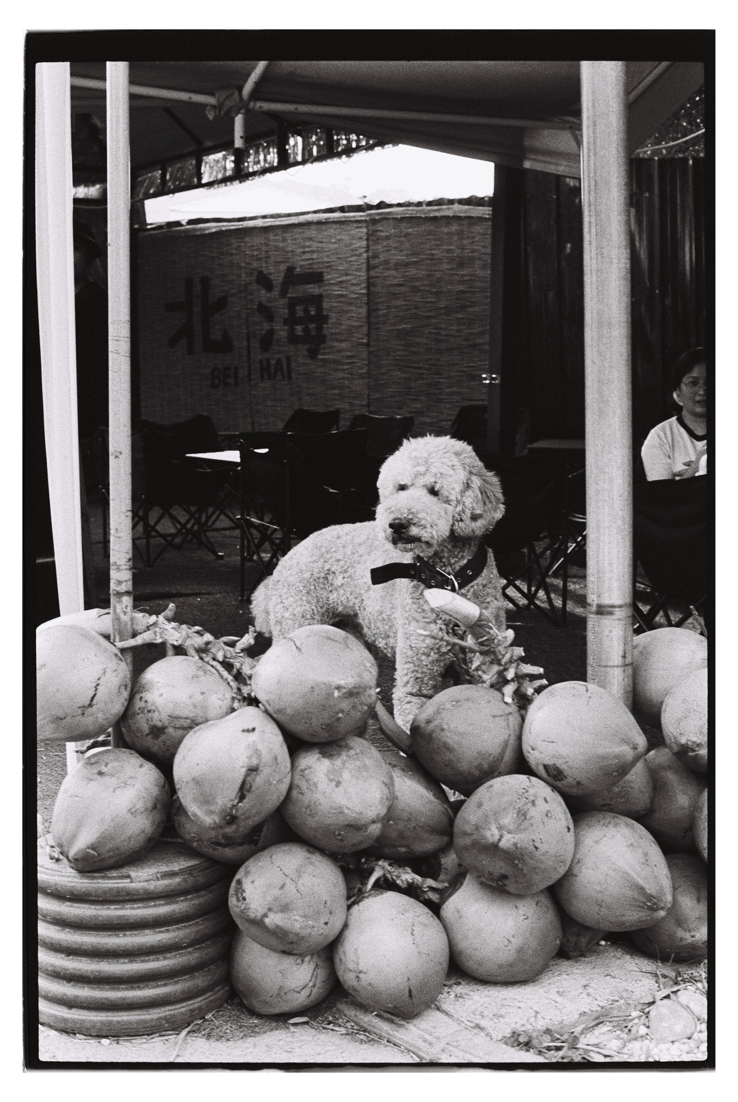 Мои ч/б работы. Портретный фотограф Марина Щеглова в Москве