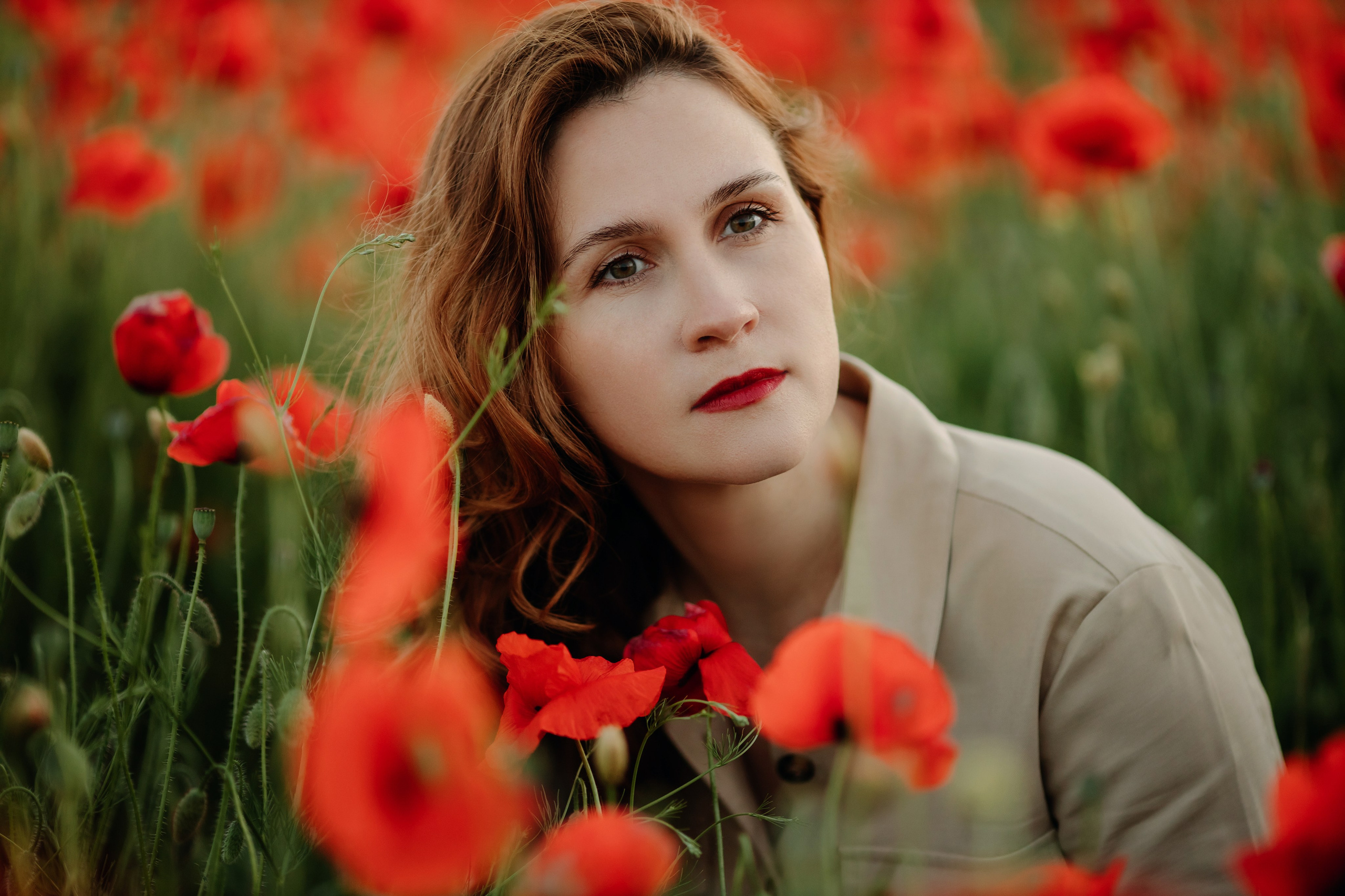 Маки. Фотограф Новороссийск