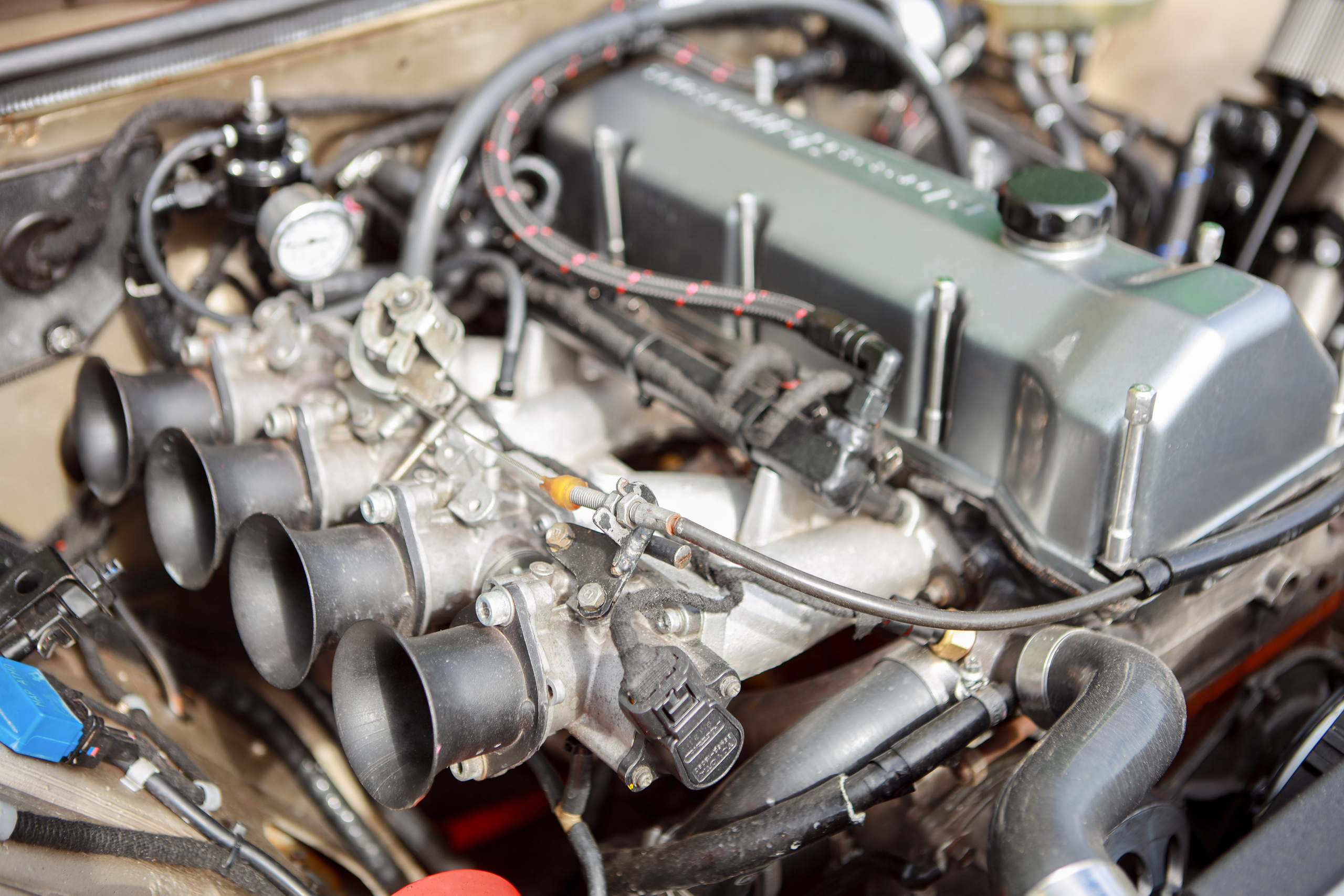 NDNF 2024. Свадебный фотограф Расторгуев Дмитрий