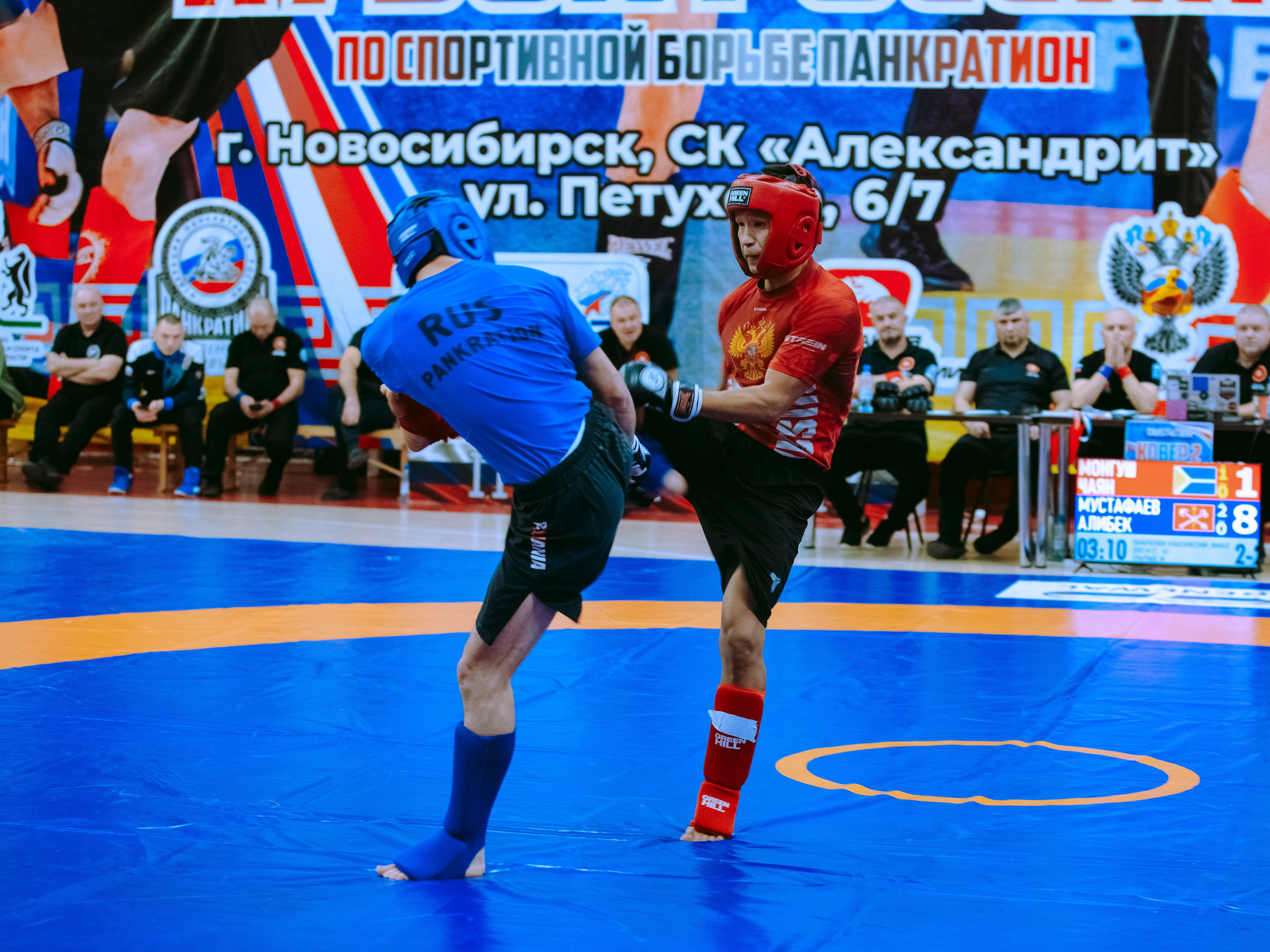 Кубок России по спортивной борьбе панкратион `23. Портретный фотограф в Москве Дарья Цезария