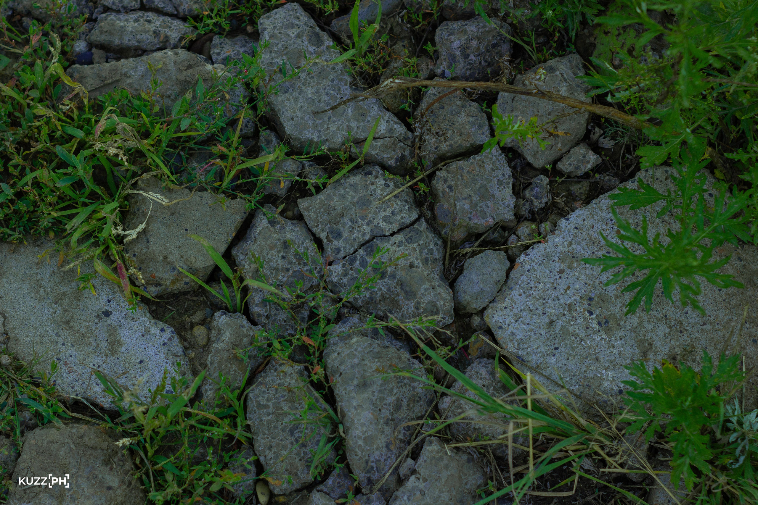02.08.2024 | Сосновоборск. Kuznetsov | Фотограф в Красноярске