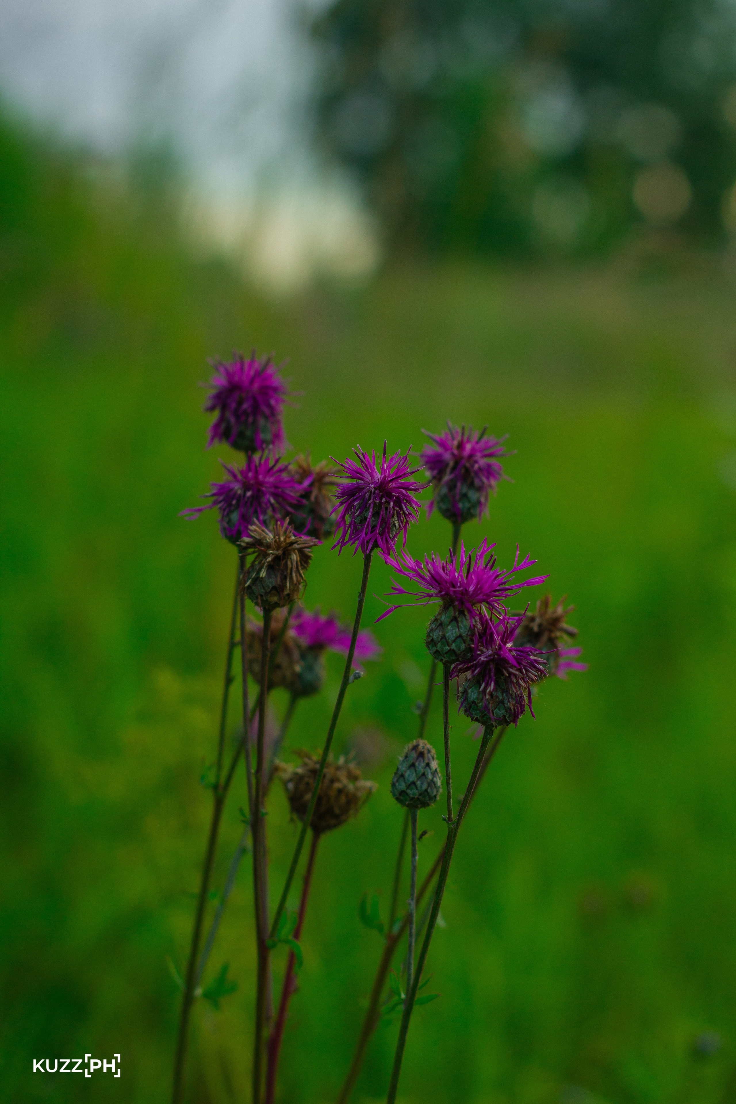 02.08.2024 | Сосновоборск. Kuznetsov | Фотограф в Красноярске