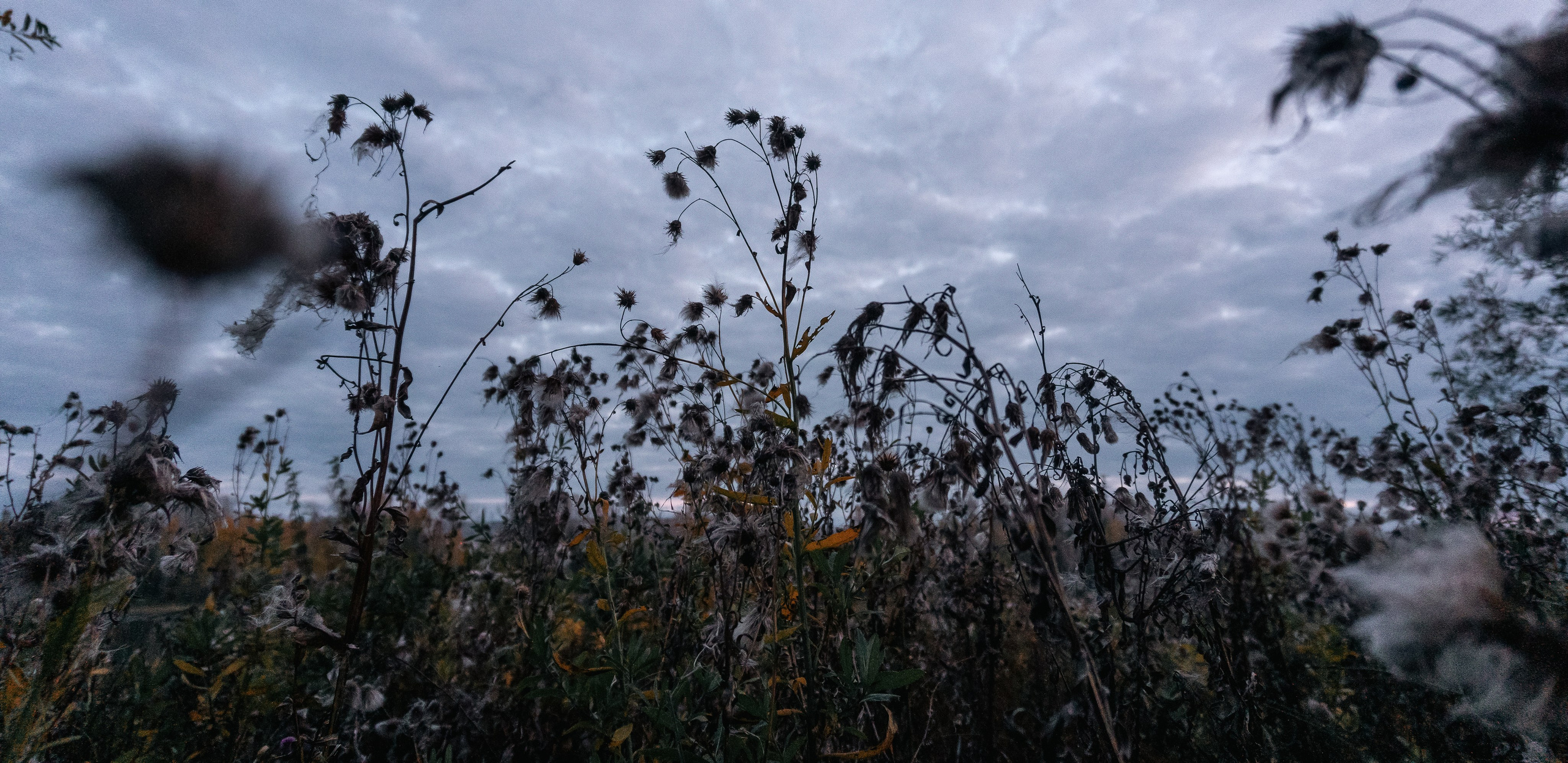 21.09.2025 | Красноярск. Kuznetsov | Фотограф в Красноярске