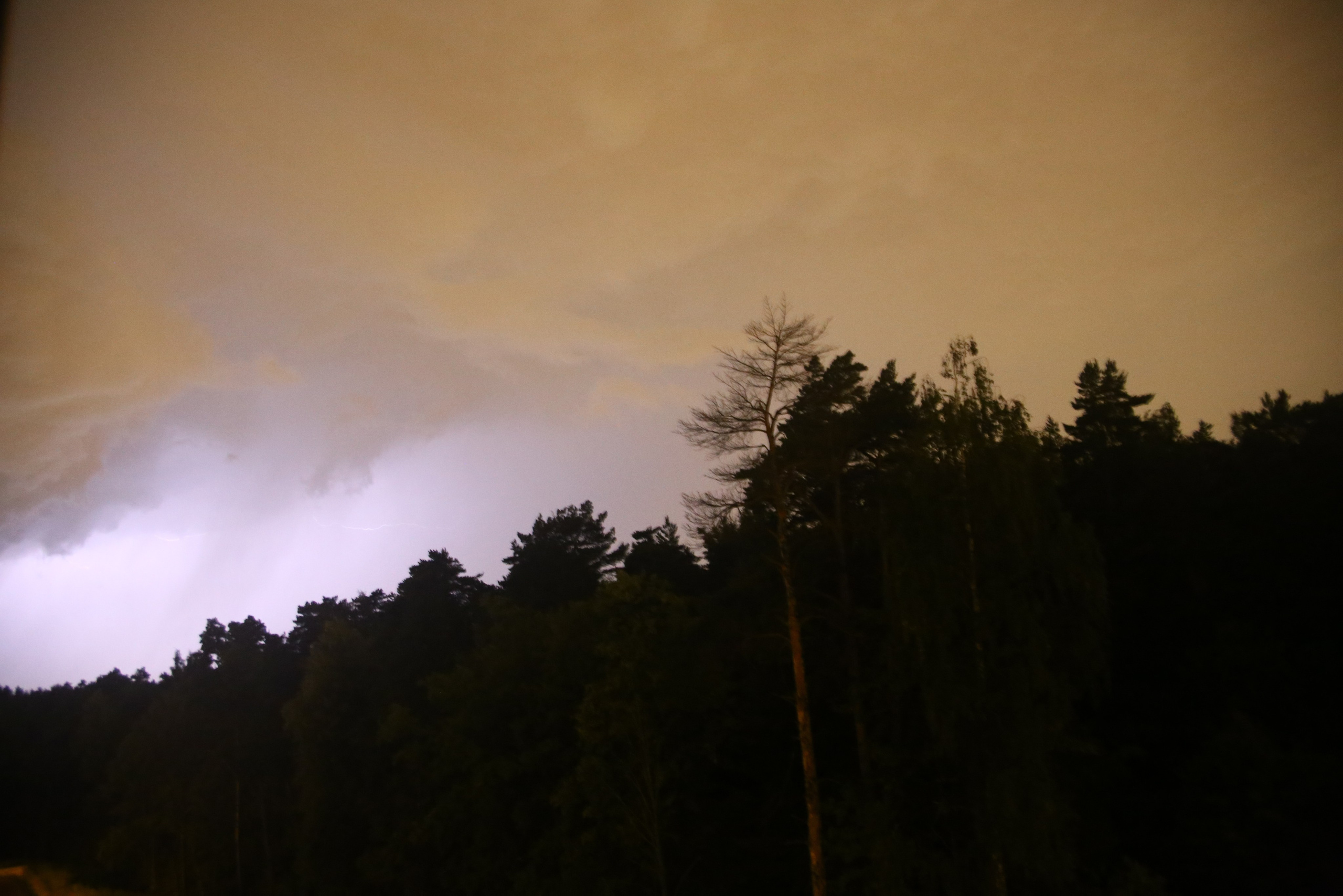 Всё, что я вижу вокруг себя