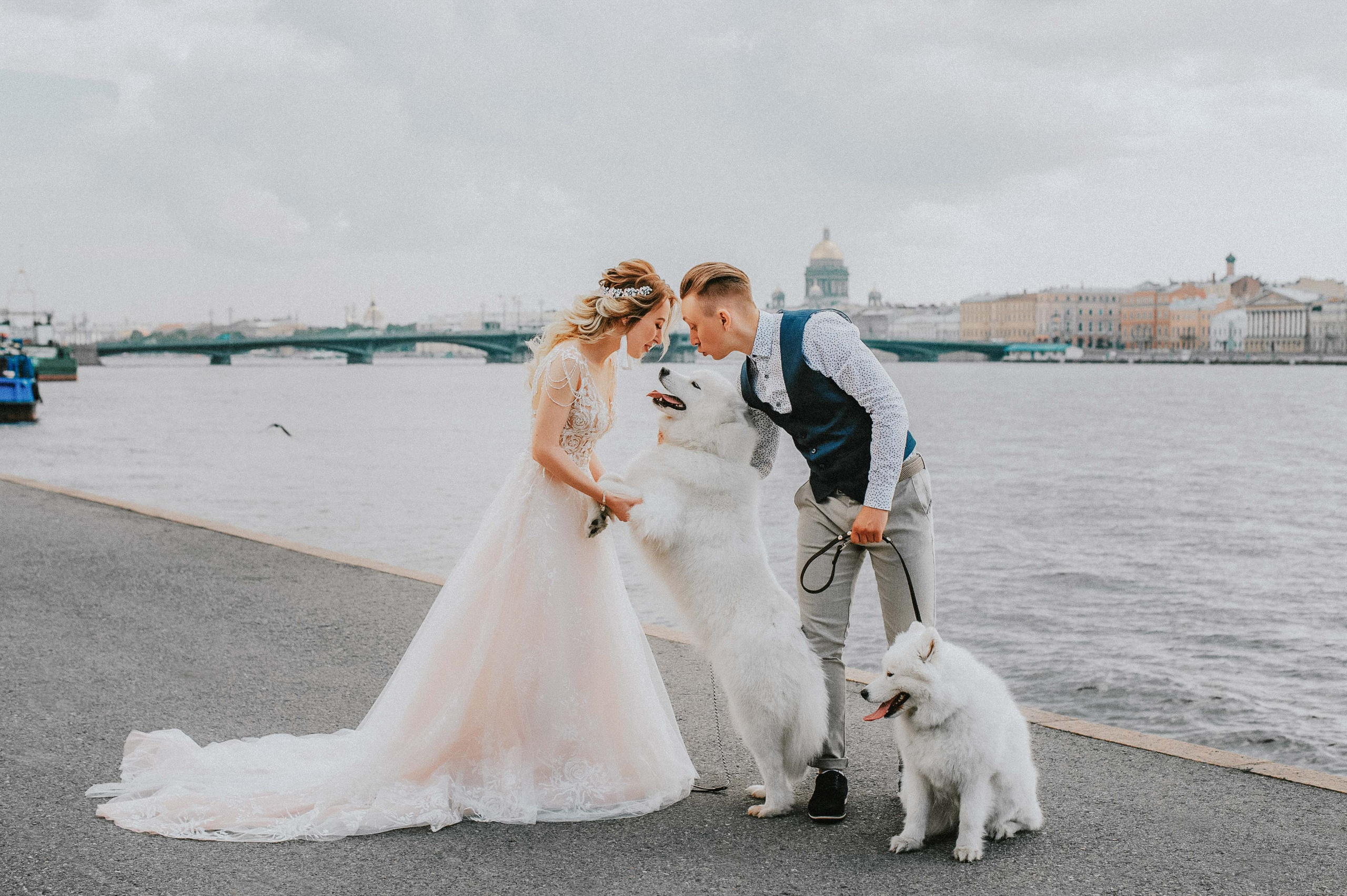 Свадьбы. Живые снимки! Фотограф Даша Бендер