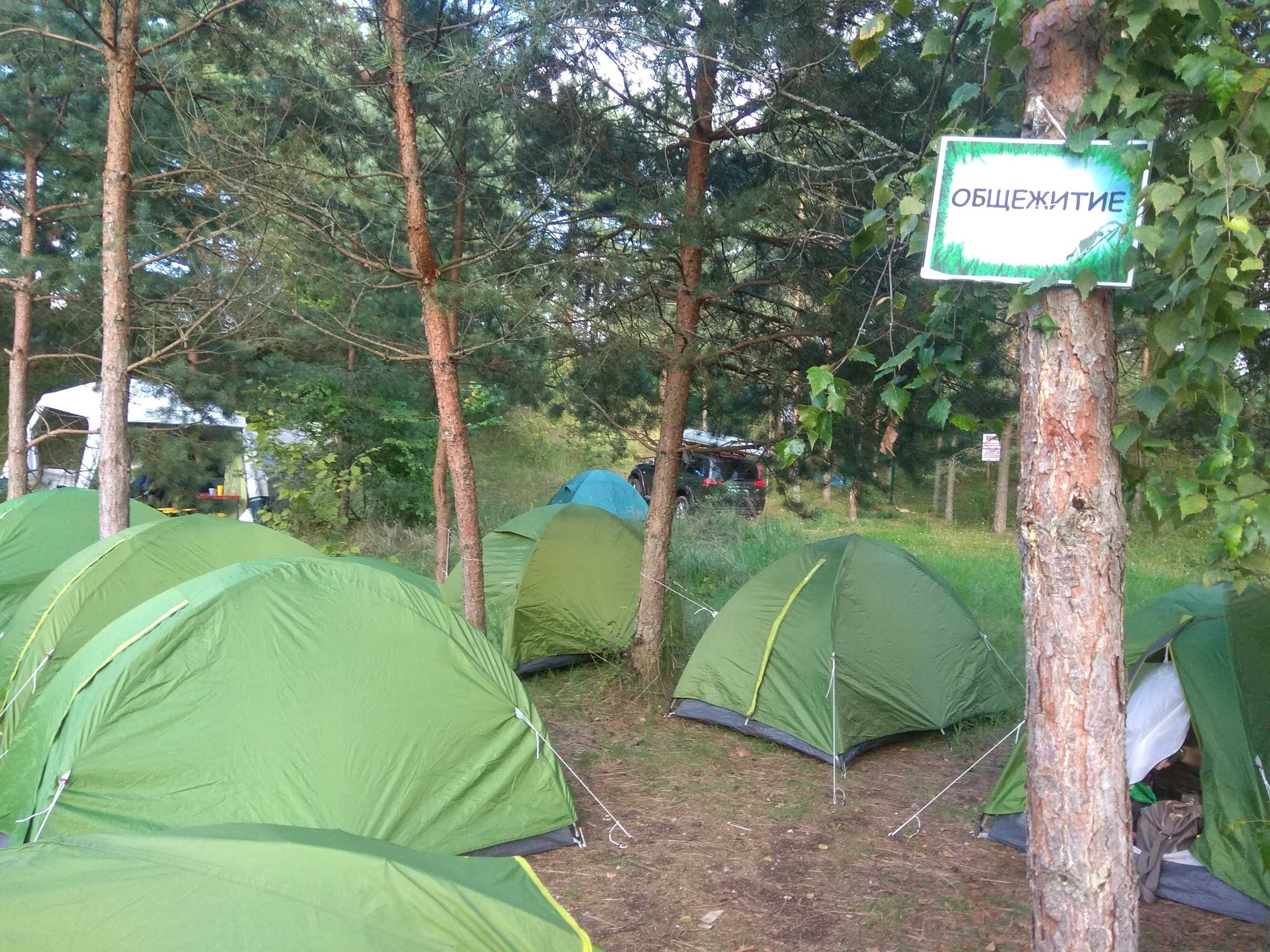 Походная Романтика 32. «Удержимые» | 2020. Галерея Фантим