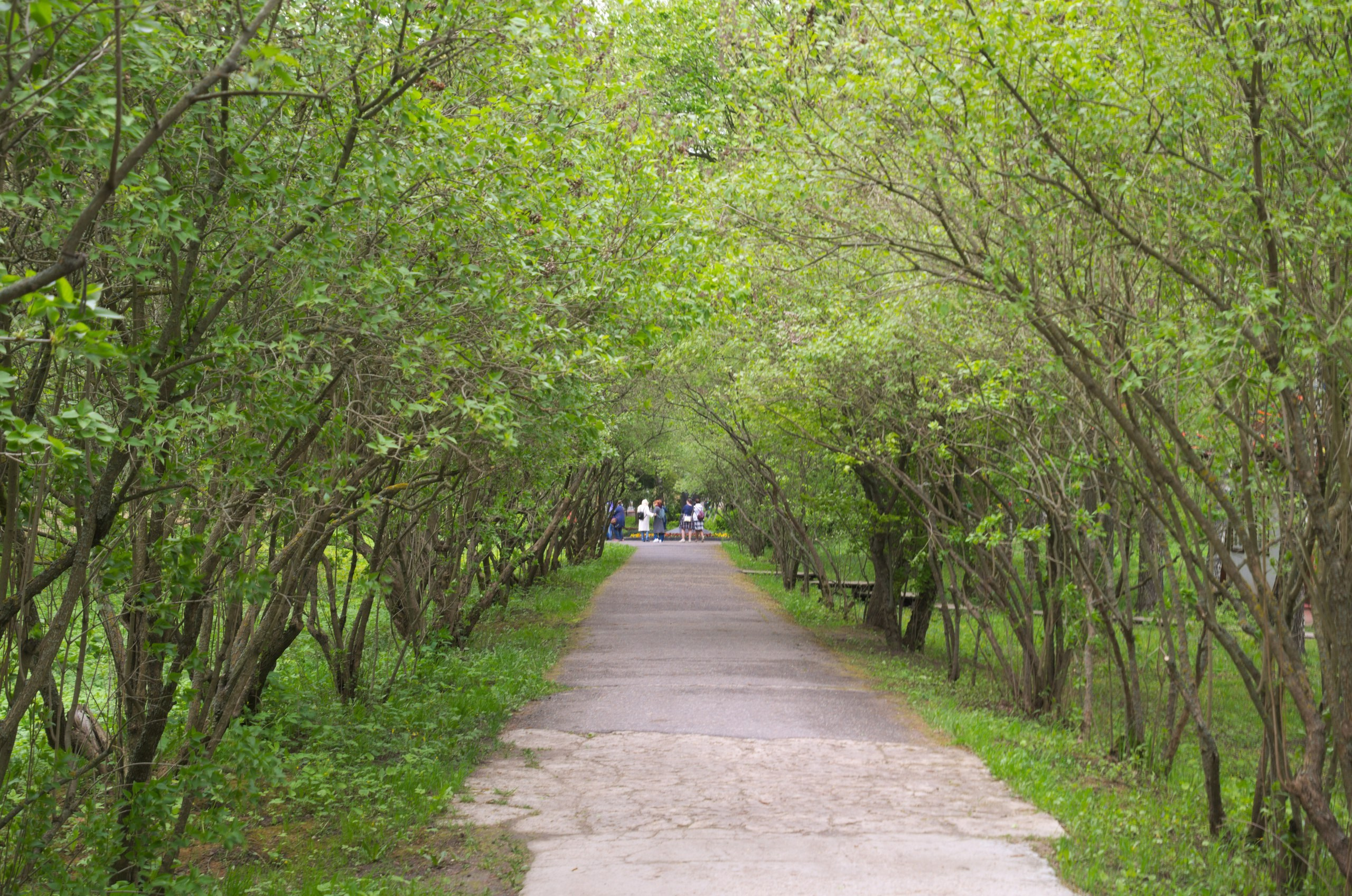 Мелихово | 21.05.2017. Галерея Фантим