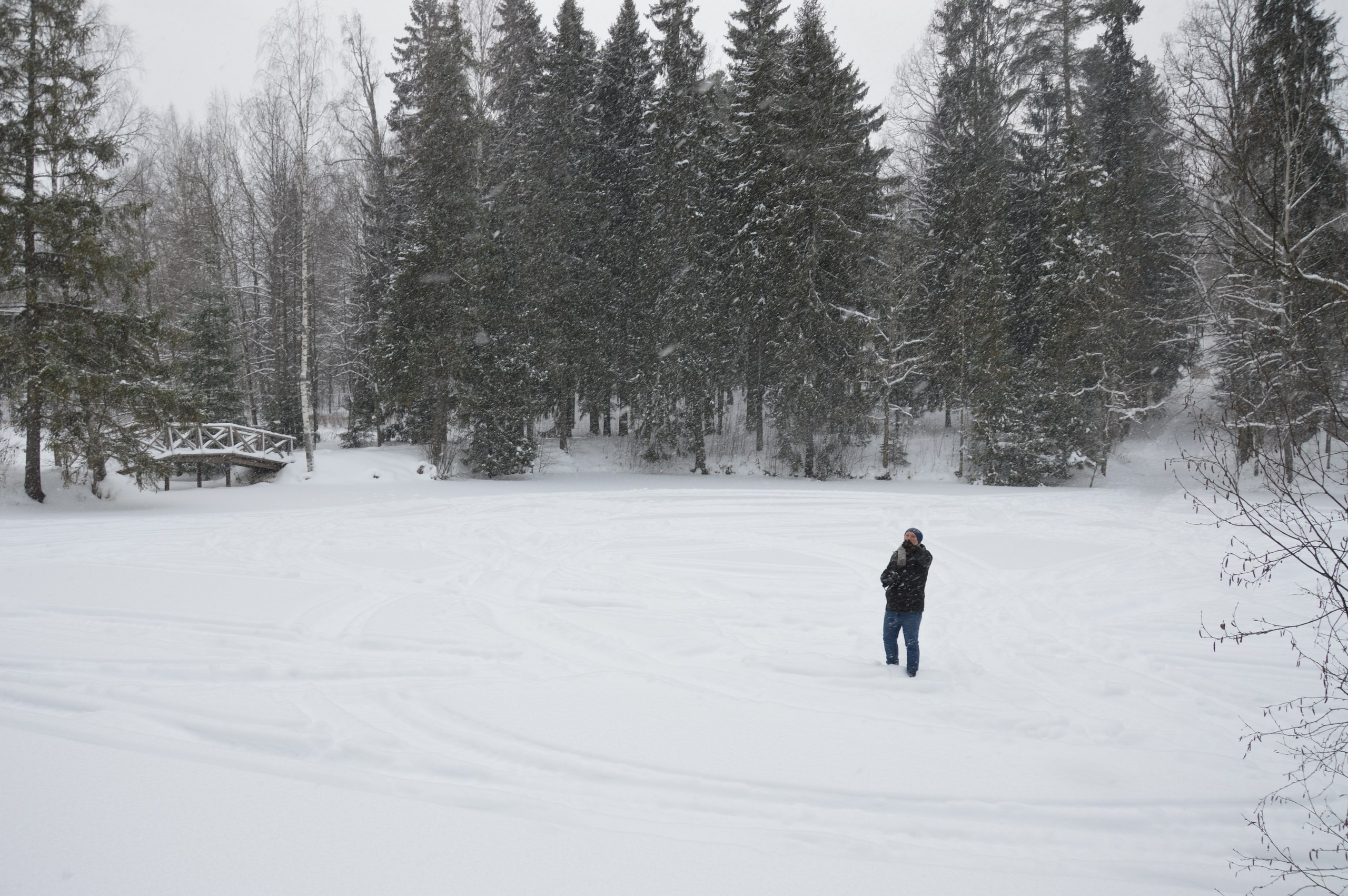 Сергиев Посад | 11.12.2016. Галерея Фантим