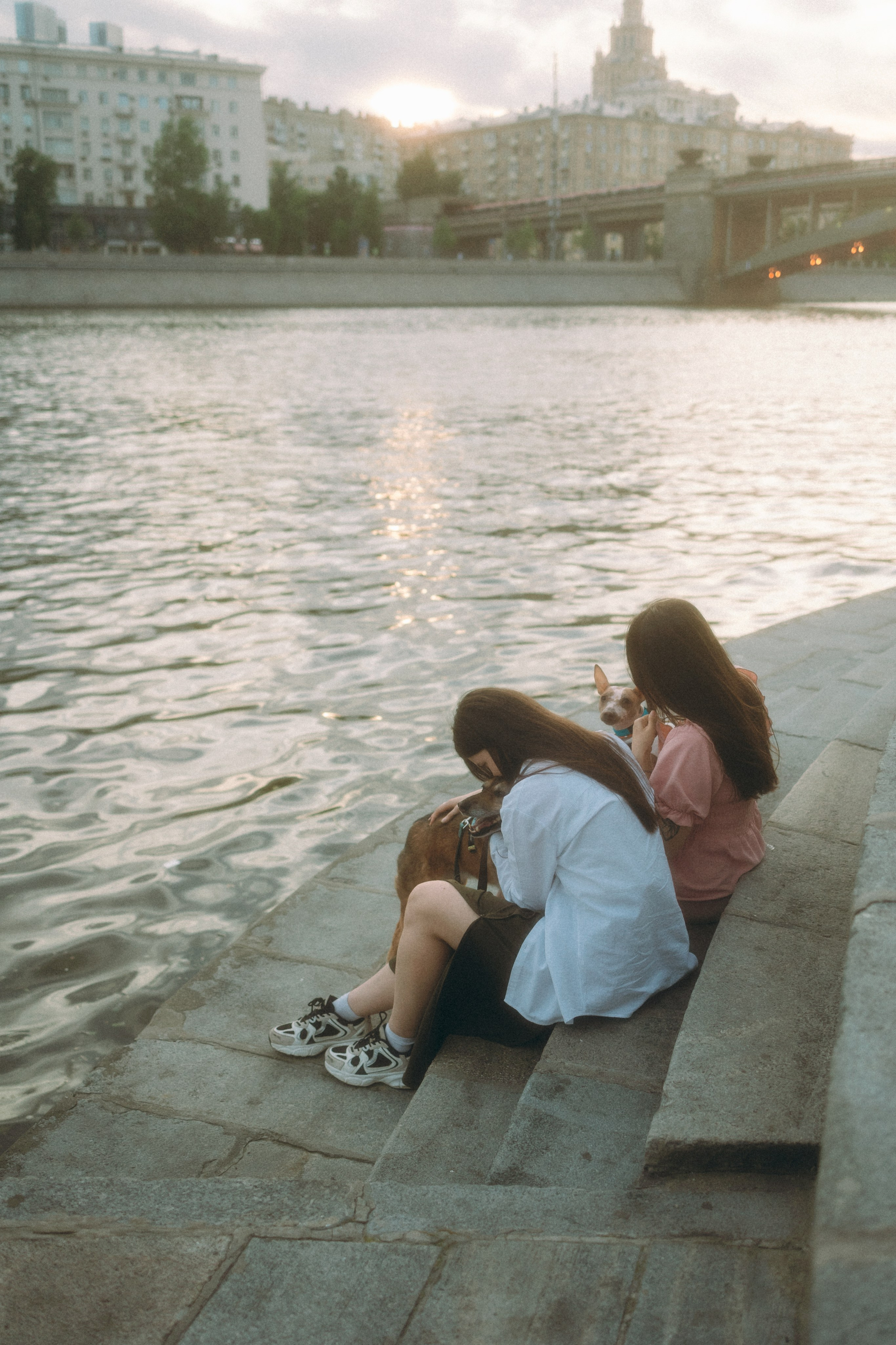 Глаша, Айрон, Ксюша и Оля. Фотограф анималист Анастасия Пикей