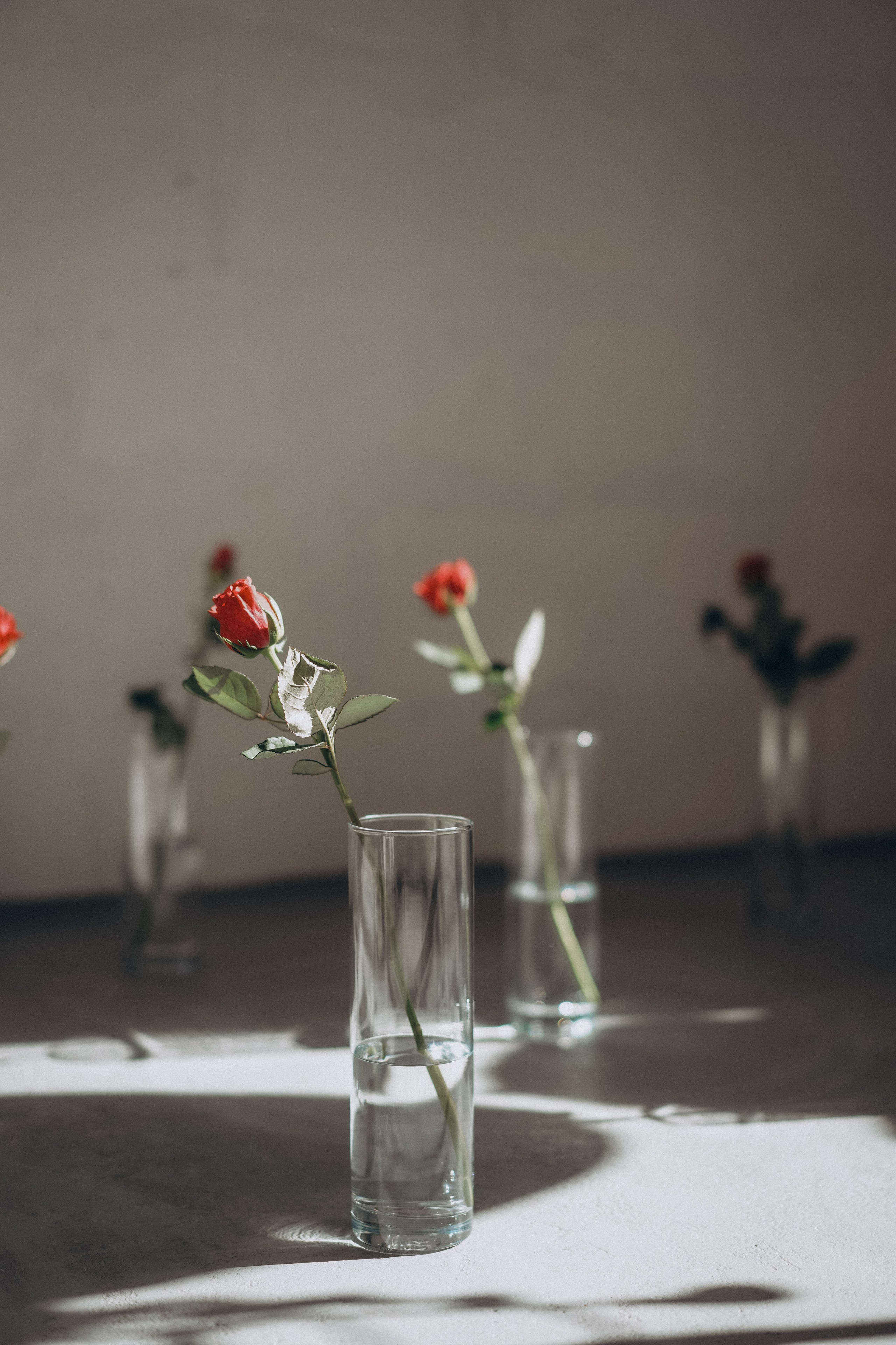 Как выглядит фотостудия Антресоль