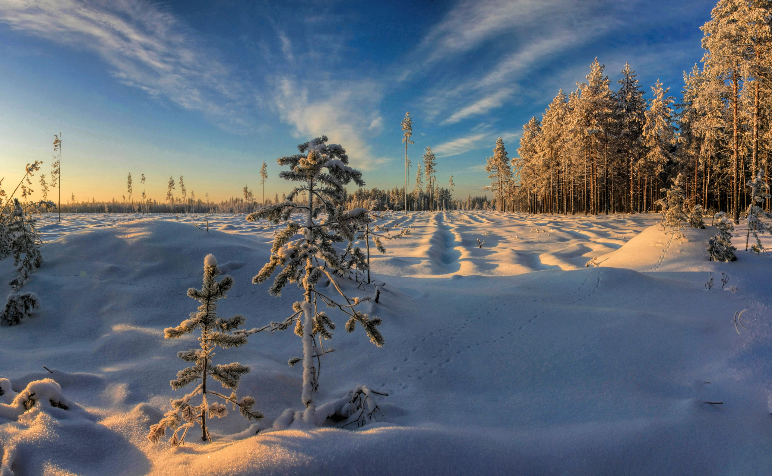 ПЕЙЗАЖИ. Фотограф Татьяна Борисова