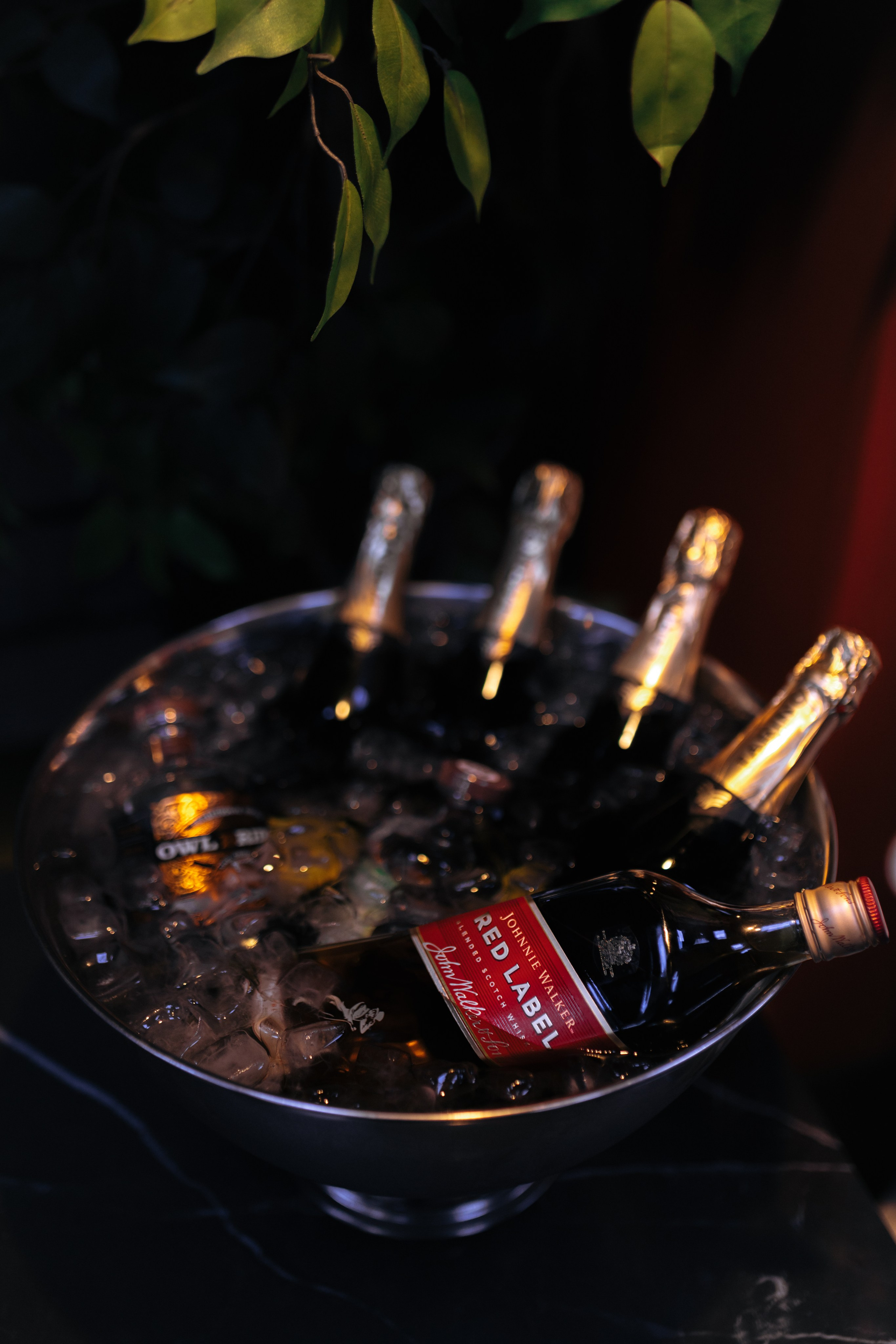 Правда Бар. Свадебный фотограф | Москва