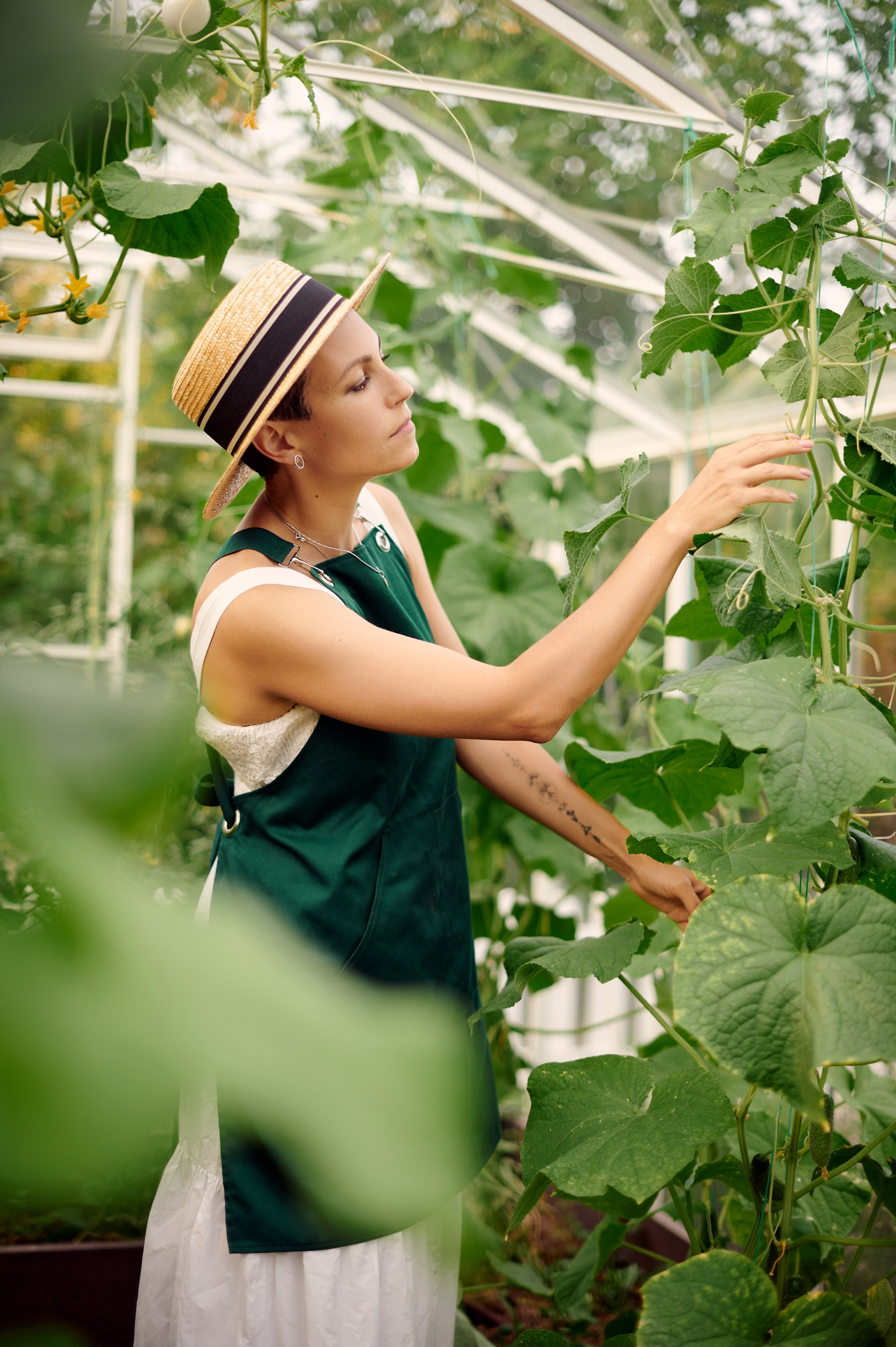 ОГУРЦЫ, ТЕПЛИЦА, САД :). Свадебный и семейный фотограф РИТА БОЧКАРЁВА