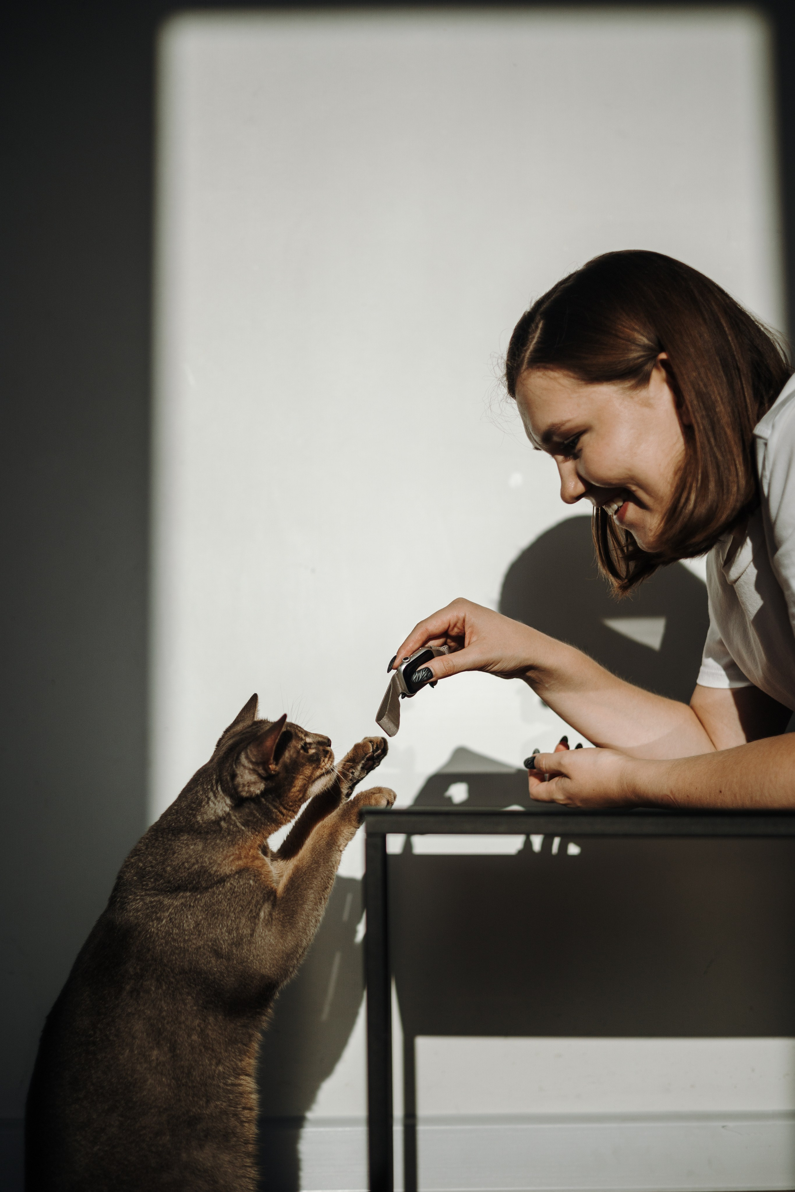 Циско и его семья. Фотограф — Анималист | Санкт-Петербург