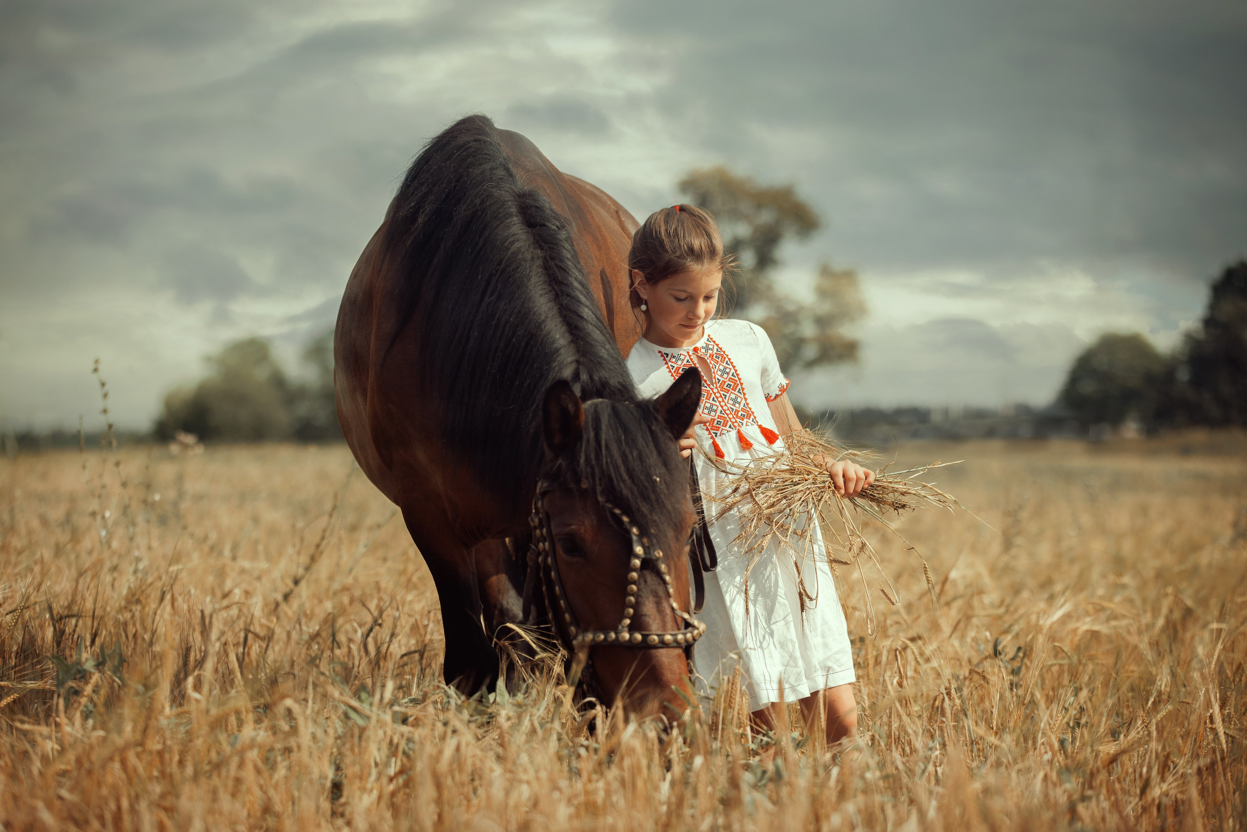 Конная съёмка. Взрослые. Детская Конная фотография в Москве Юлия Шепелева