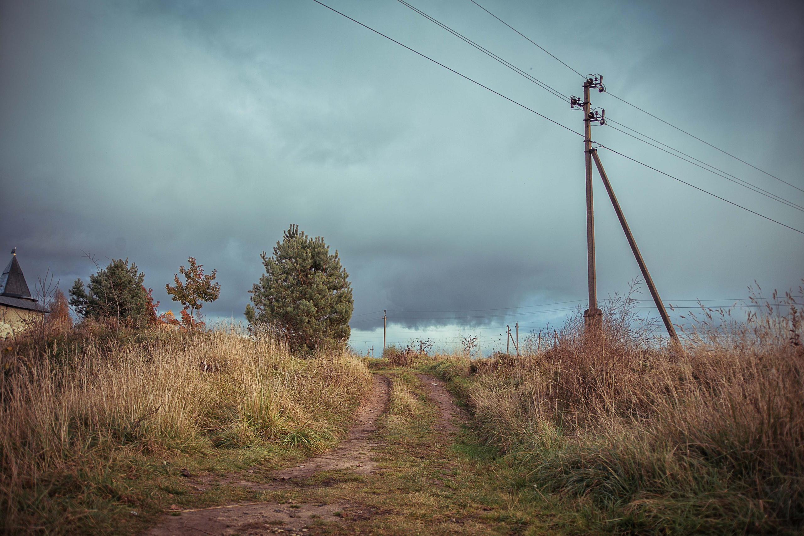 Печеры. Семейный и детский фотограф в Москве Ольга Кривенцова