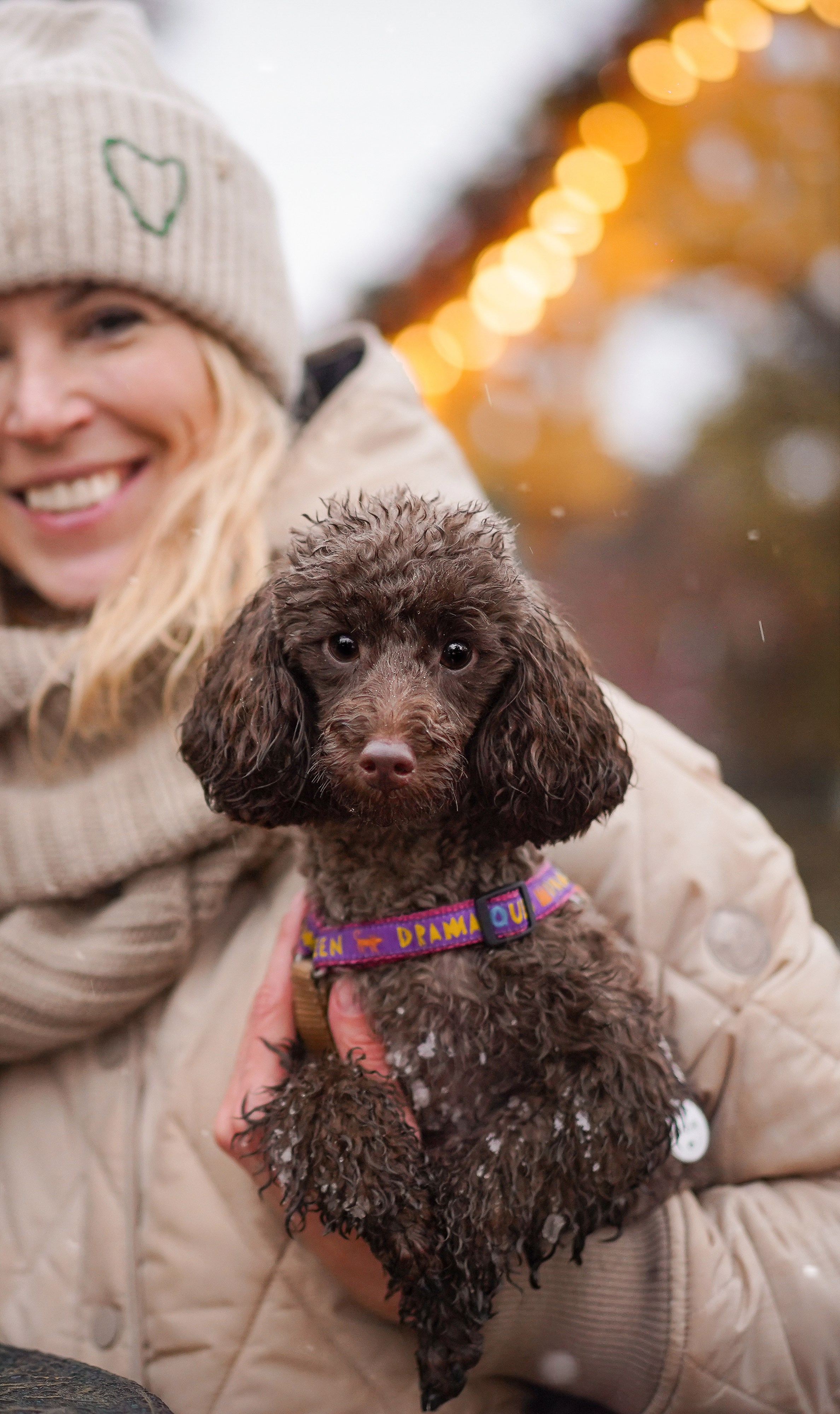 Марина Артем Мия и Хлоя. Фотограф-анималист в Санкт-Петербурге Яна Мартынова