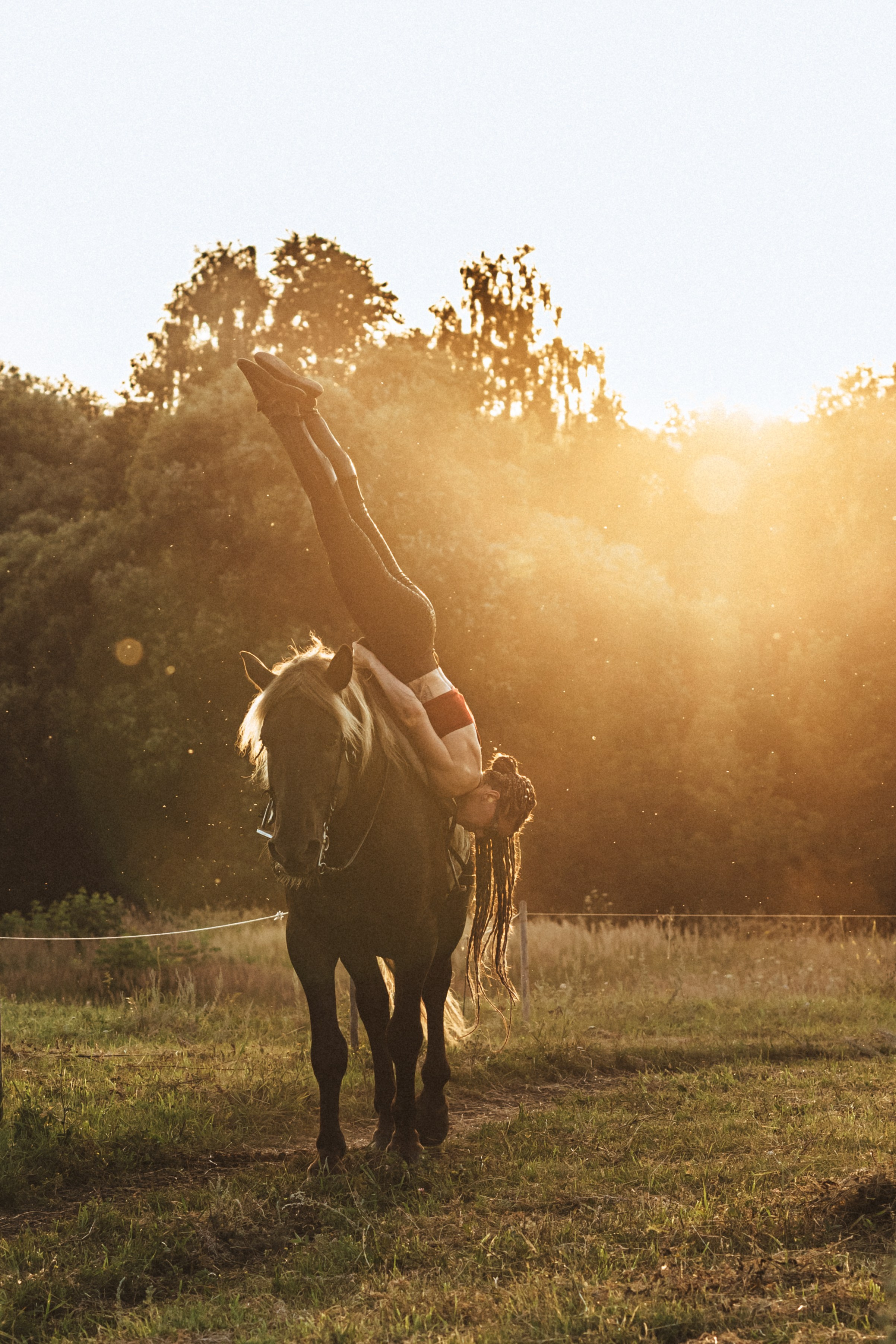 Стойка на руках на идущем коне, акробатика и конный спорт на закате. Фотограф в Пензе Александра Овечкина
