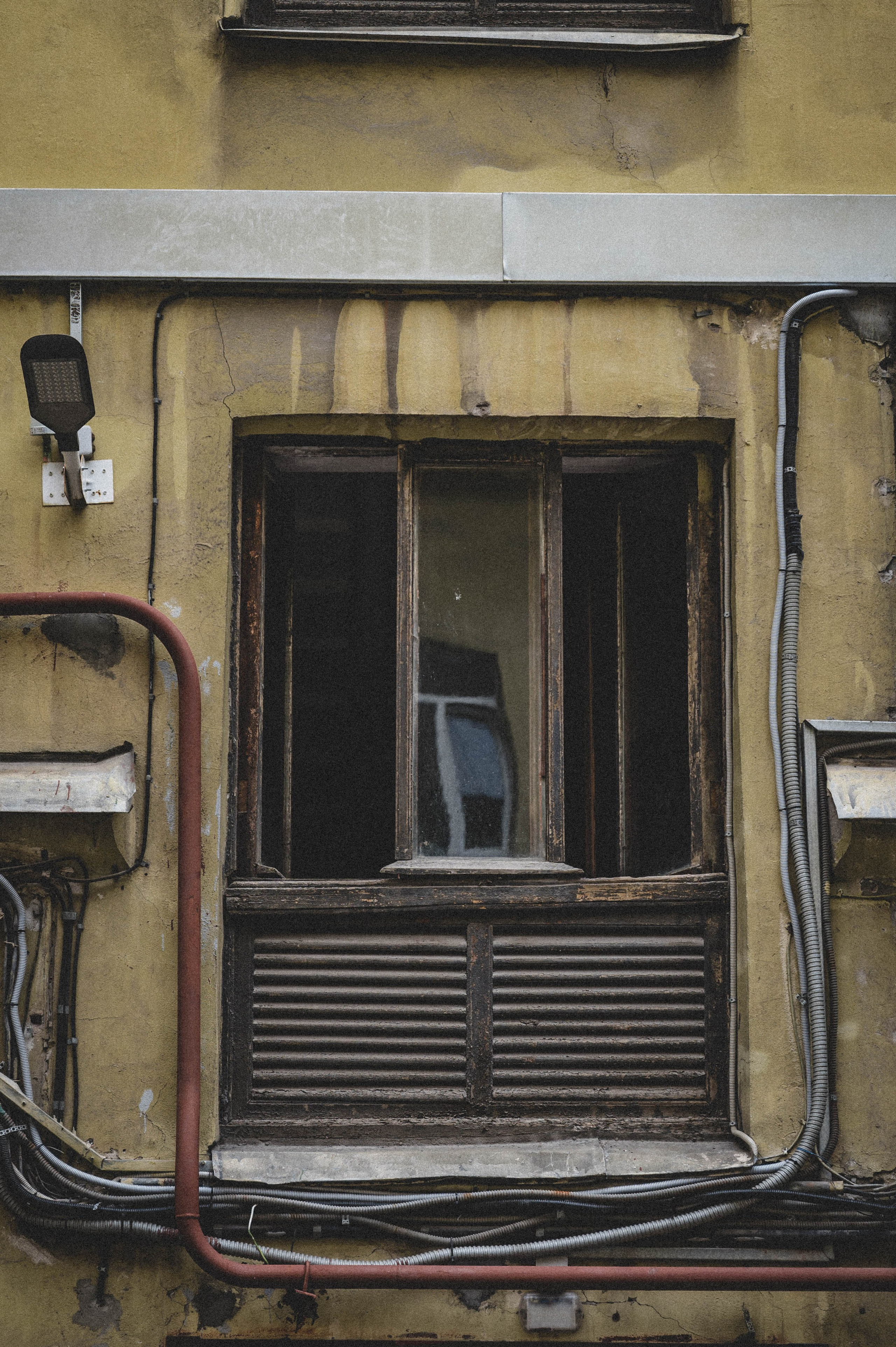 Репортажная фотосъёмка в Петербурге | Портретный фотограф Ольга Берёза. Экскурсовод в Санкт-Петербурге | Ольга Колоскова