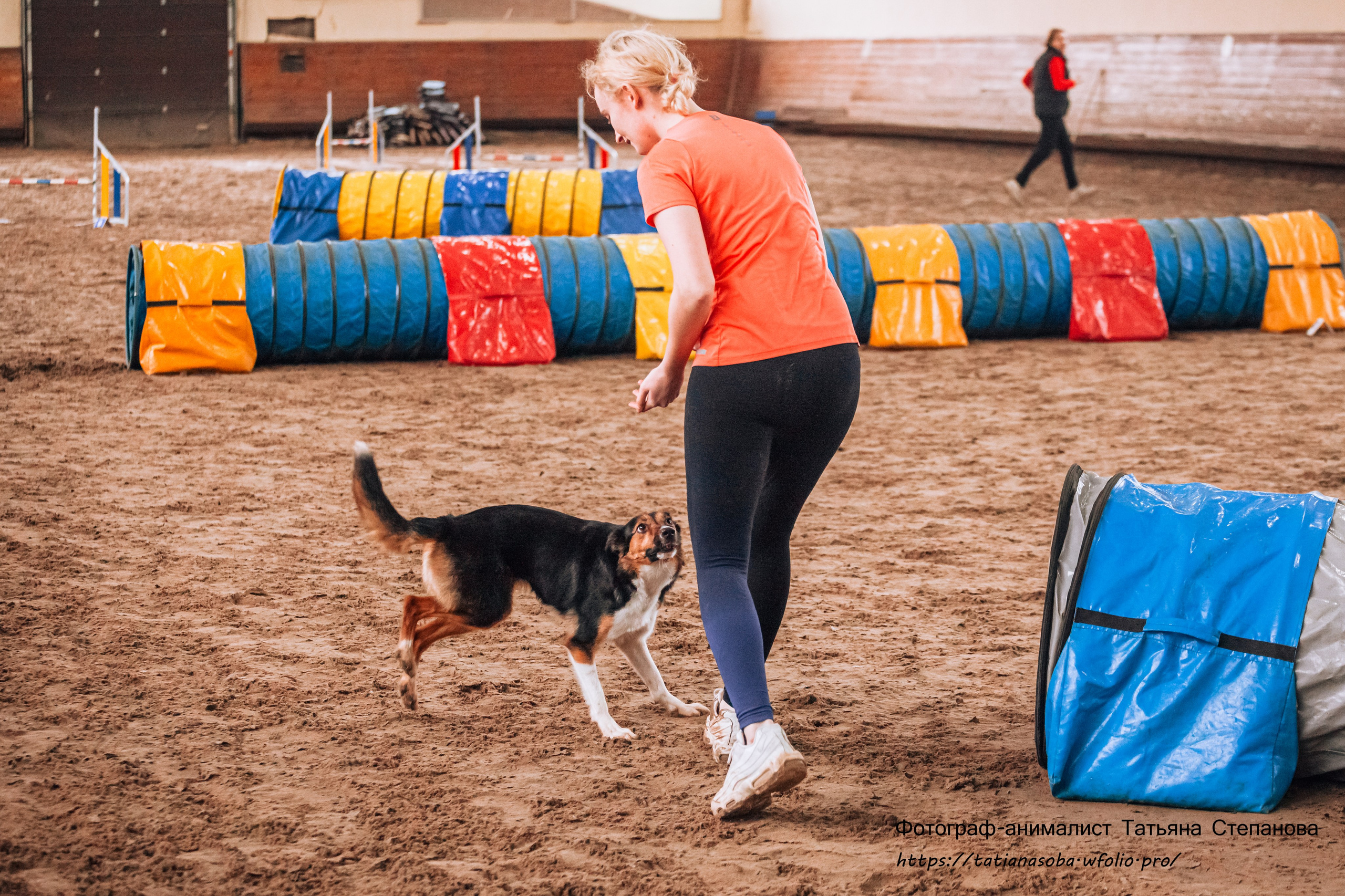 Соревнования по Аджилити 25.02.2024. Фотограф-анималист Татьяна Степанова