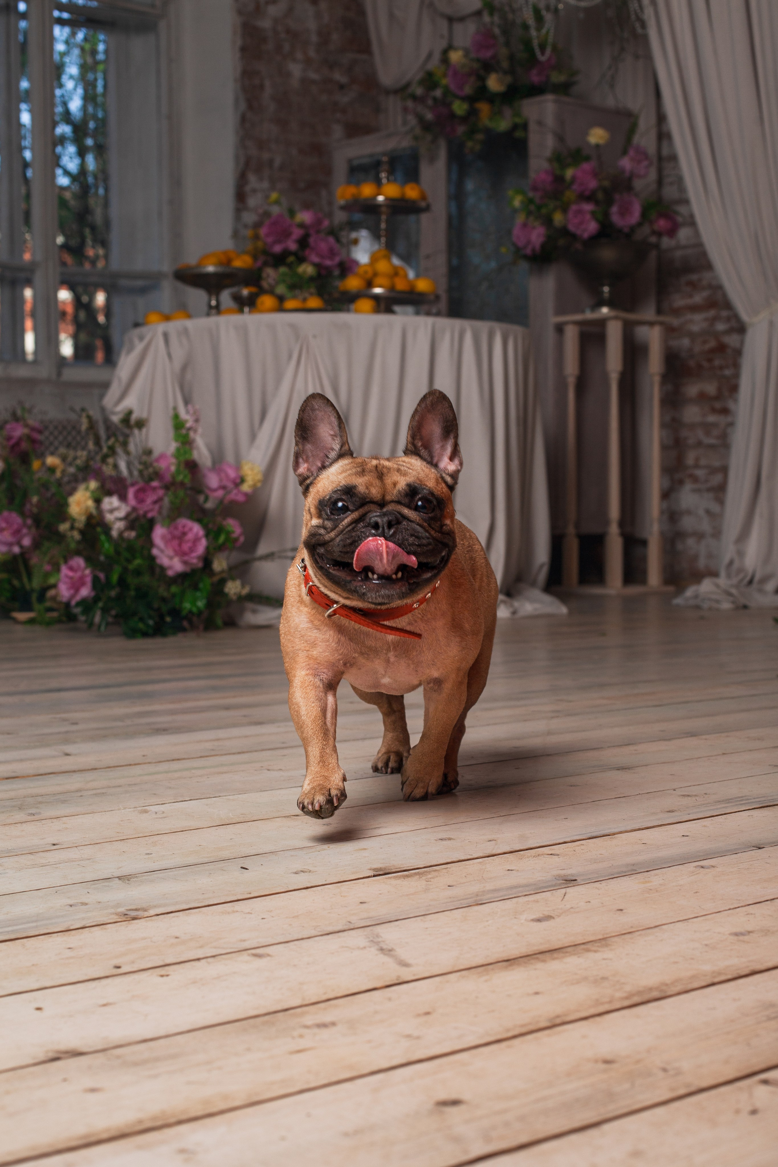 Наталья и Фрося. Фотограф-анималист Татьяна Степанова