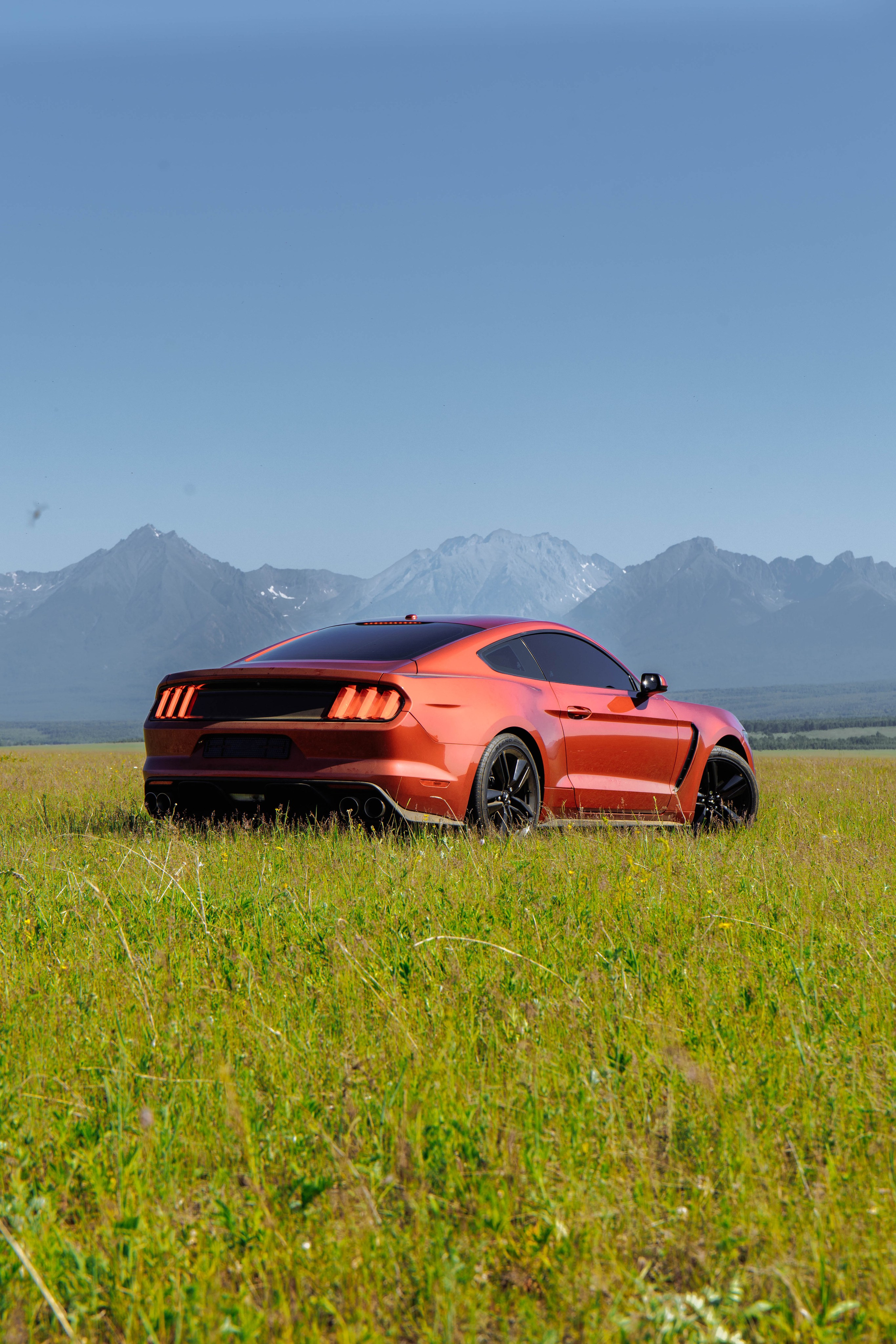 MUSTANG. Репортажный фотограф в Иркутске — Ярослав Ковалёв