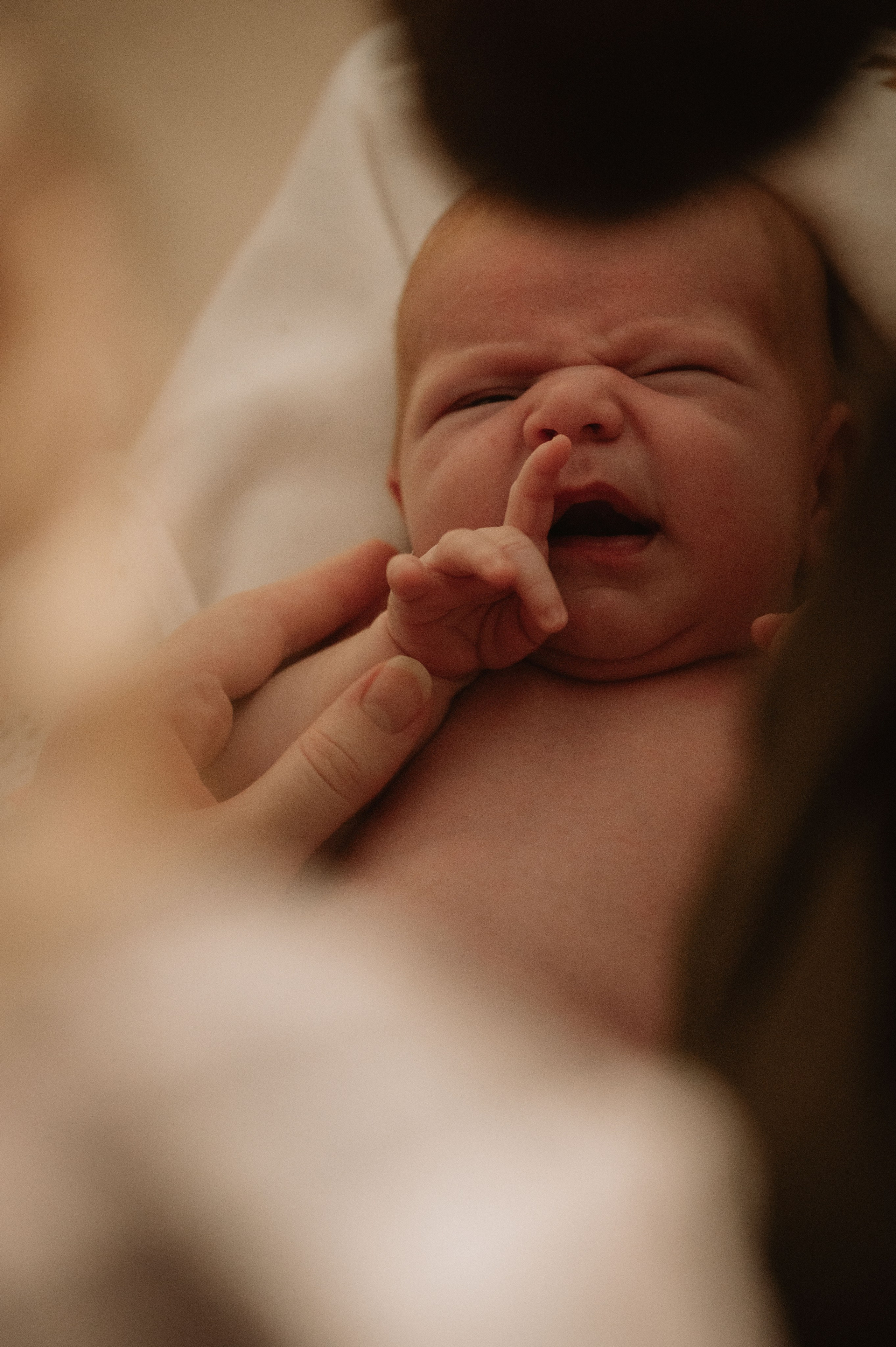 Лизавета, Никита и Мирослава. Фотограф беременности и семьи, домашние съемки, Ньюборн