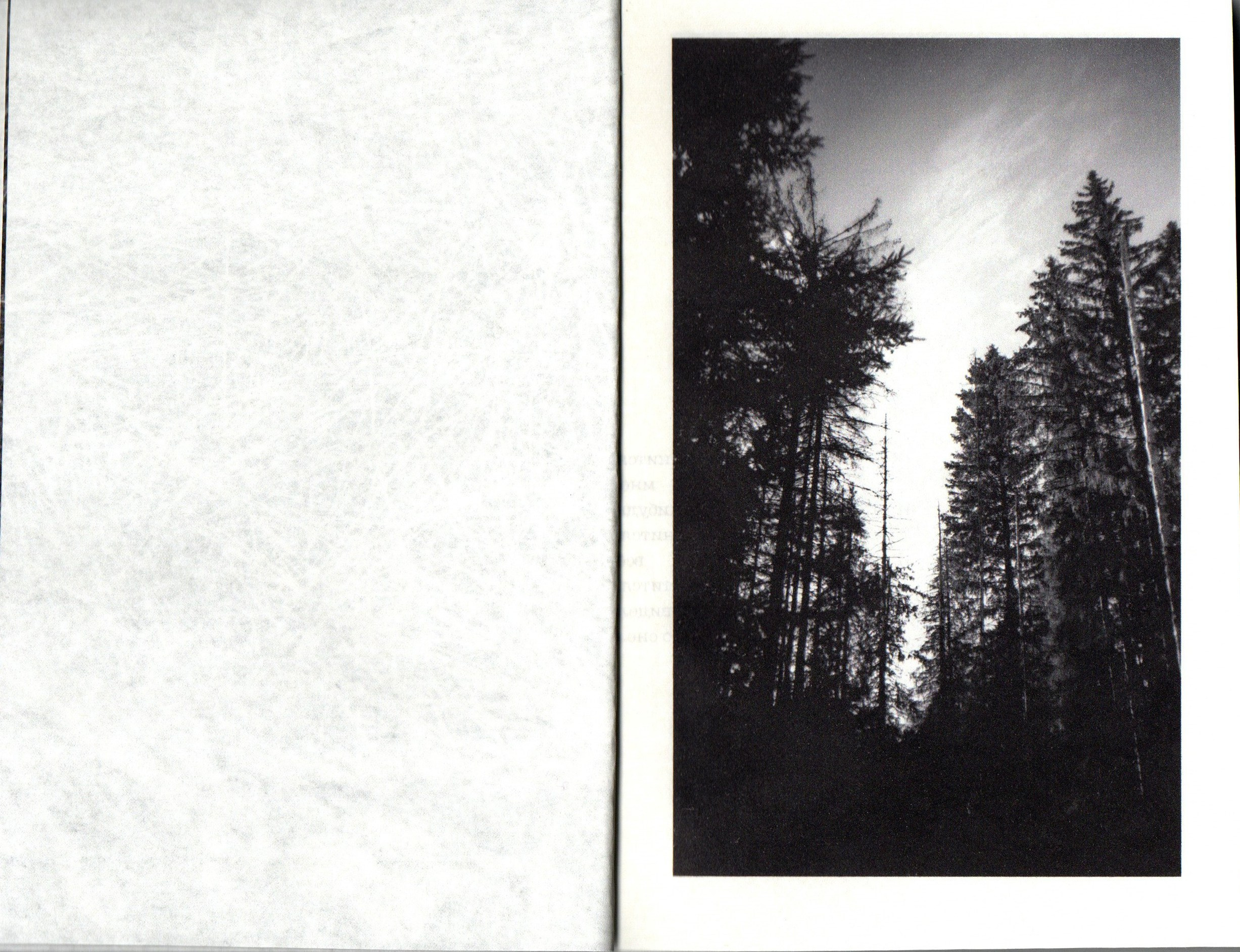 Любители ягодных пирогов. Фотограф Анна Кирнос