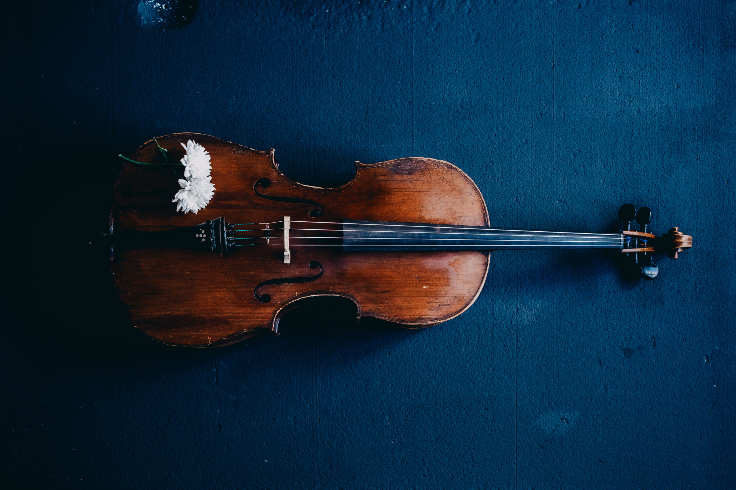 Евгений. Портретный и репортажный фотограф в Санкт-Петербурге Максим Пашков
