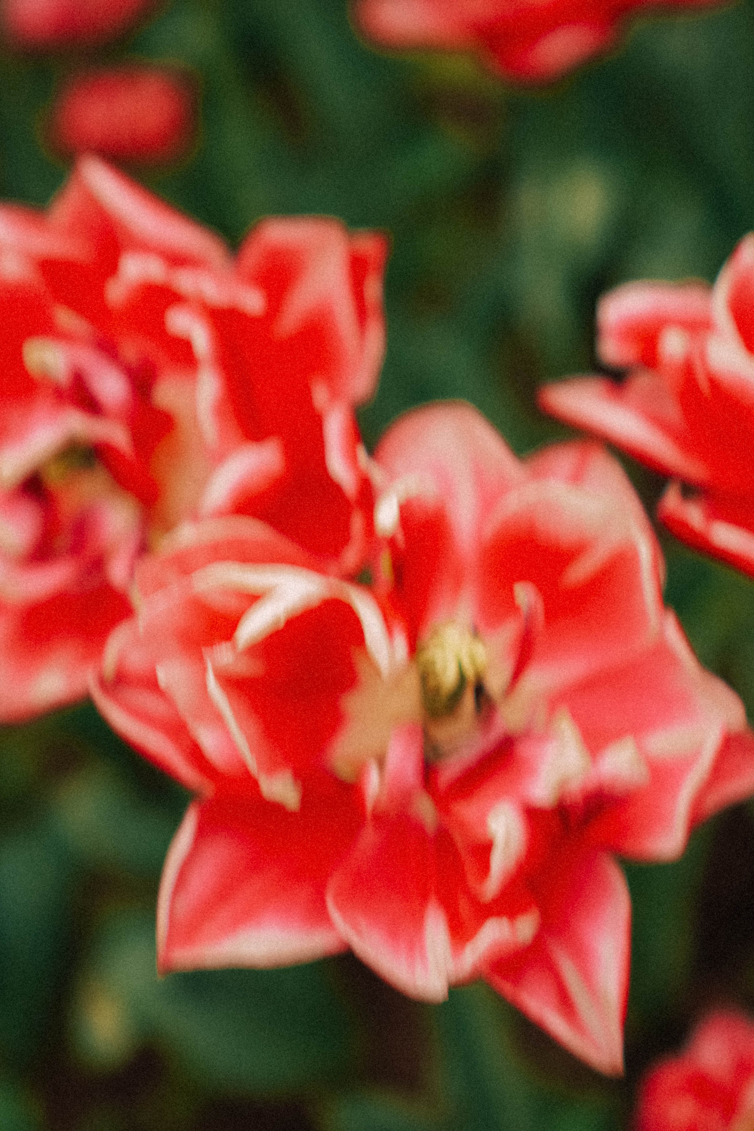 КИСЛОВОДСК. Профессиональный фотограф, Санкт-Петербург — Виктория Богомолова