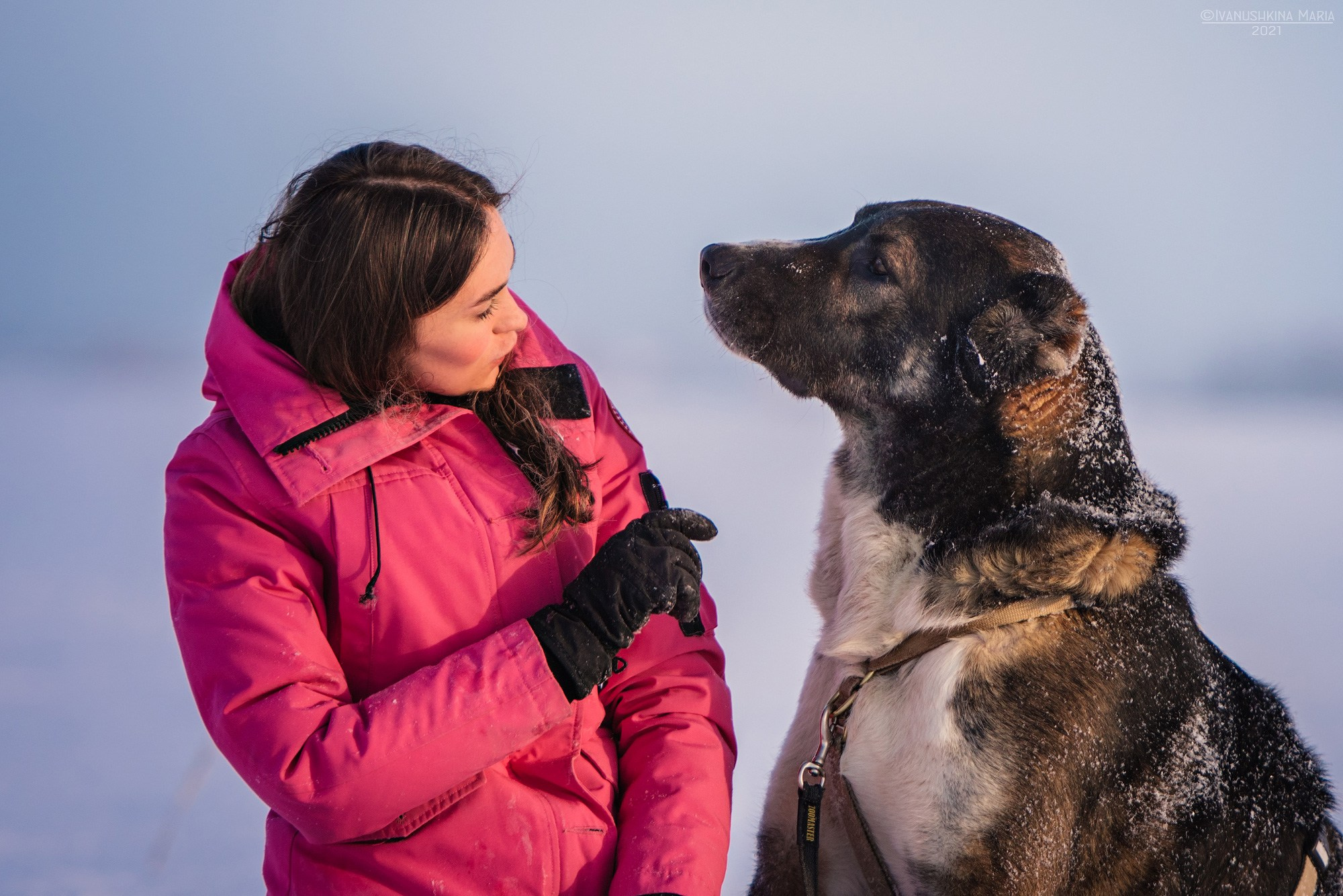 Фотосессия с собакой. Фотограф собак в Москве и Московской области Иванушкина Мария