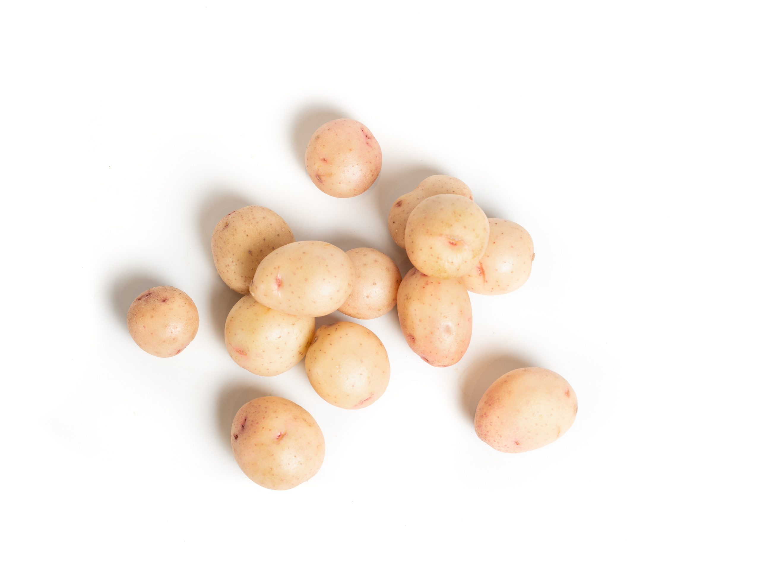 Яндекс Маркет. Предметный и фуд-фотограф в Москве Анна Царенко