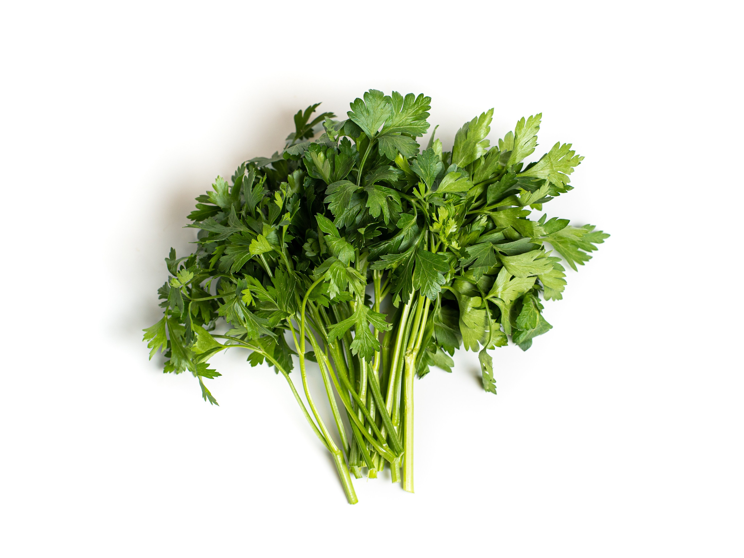 Яндекс Маркет. Предметный и фуд-фотограф в Москве Анна Царенко