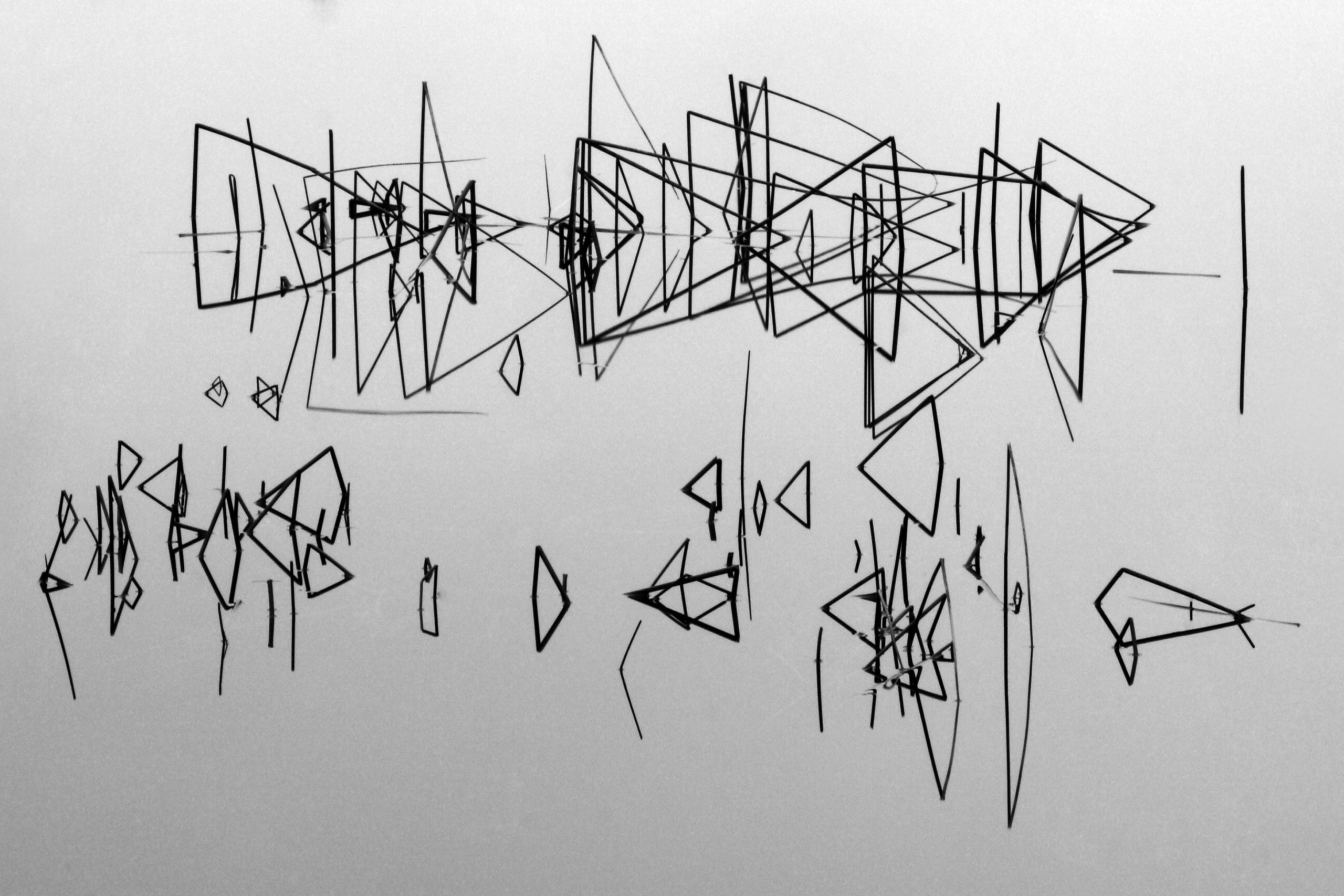 Фото. Фотограф Лагутин Анатолий