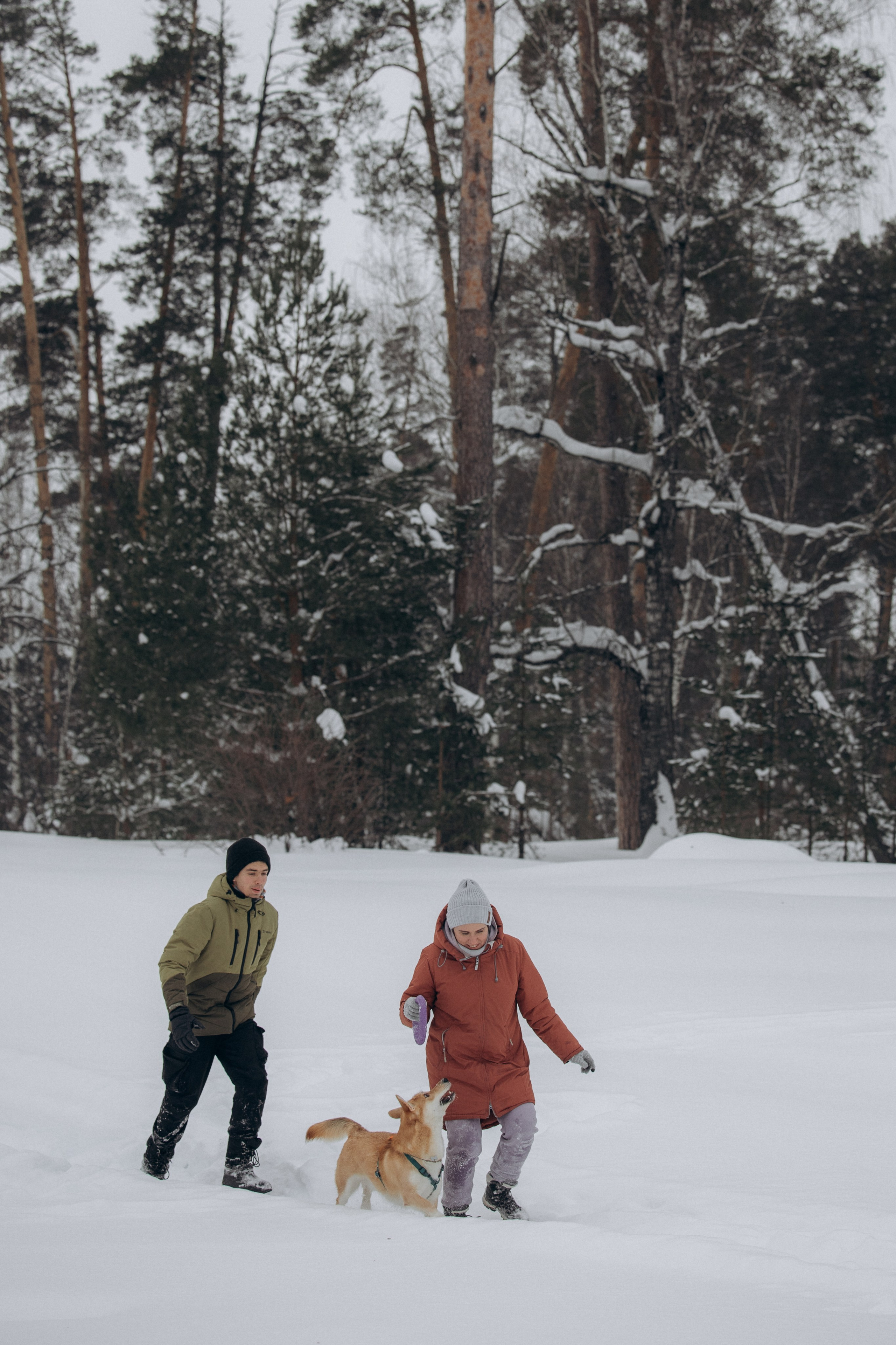 Прогулка на озере зимой. Фотограф анималист в Казани Алина Сулейманова. Фотограф животных