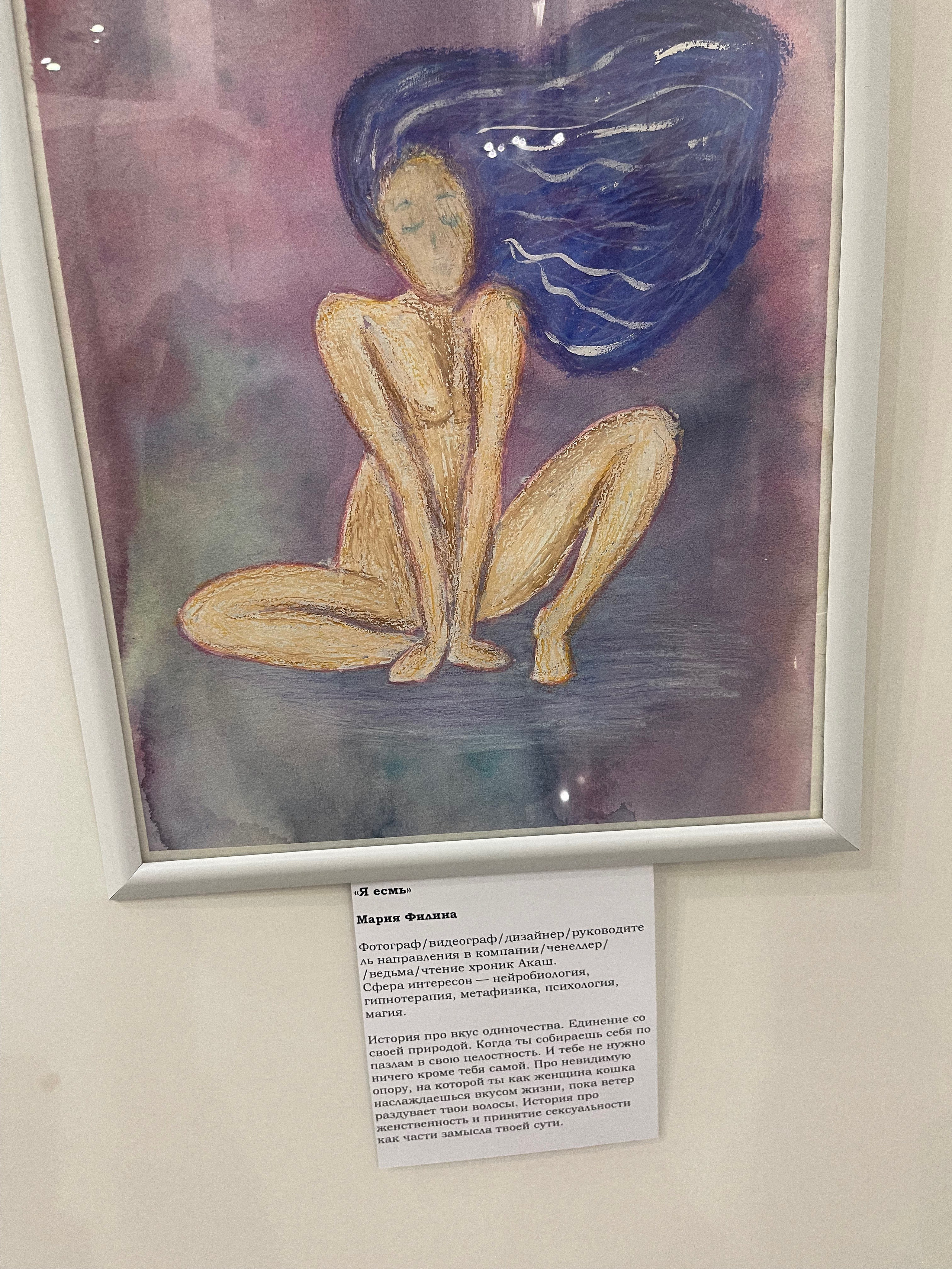 Картины. Фотограф Дубна