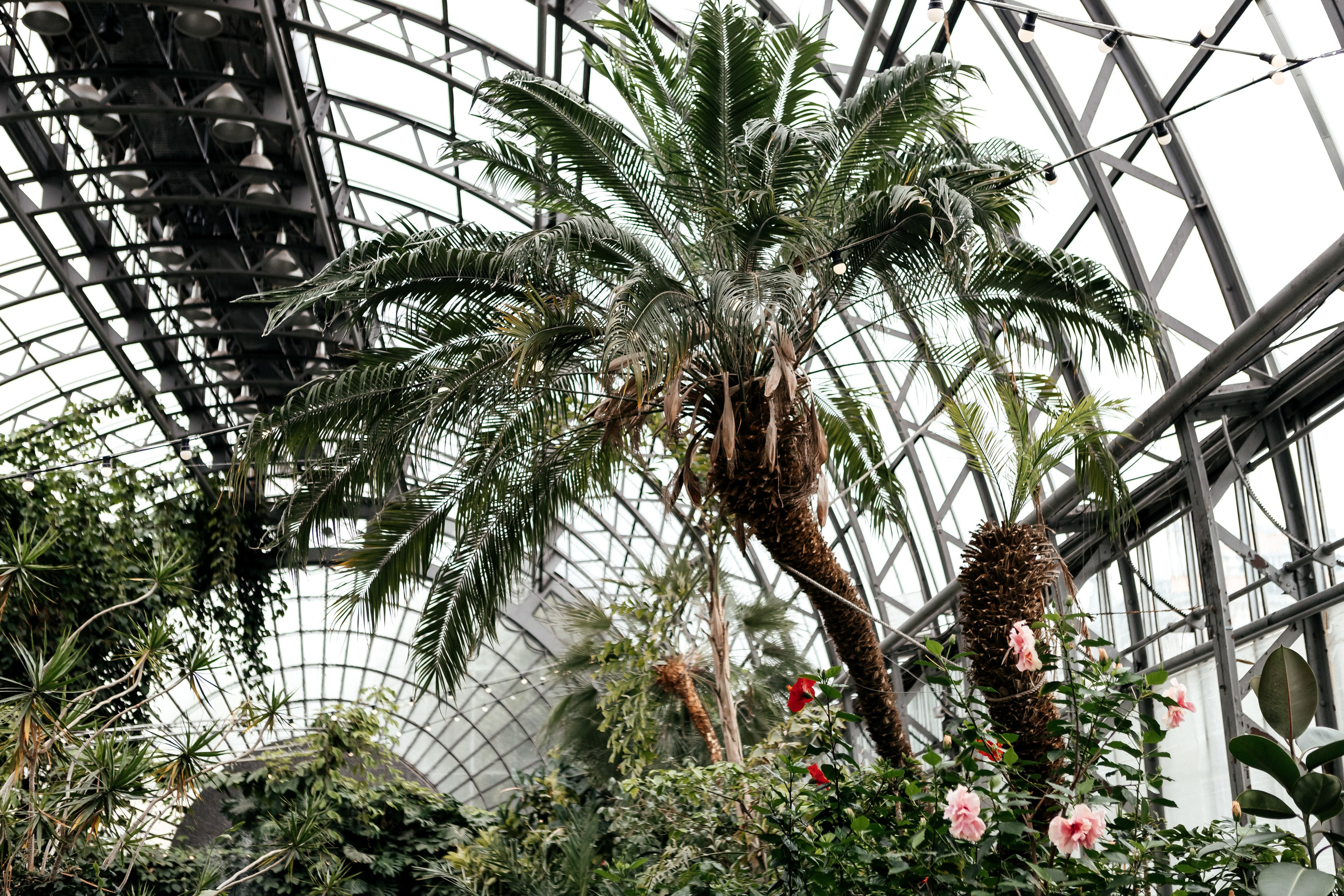 H & A. Семейный и свадебный фотограф в Петербурге Евгения и Николай Шевчук