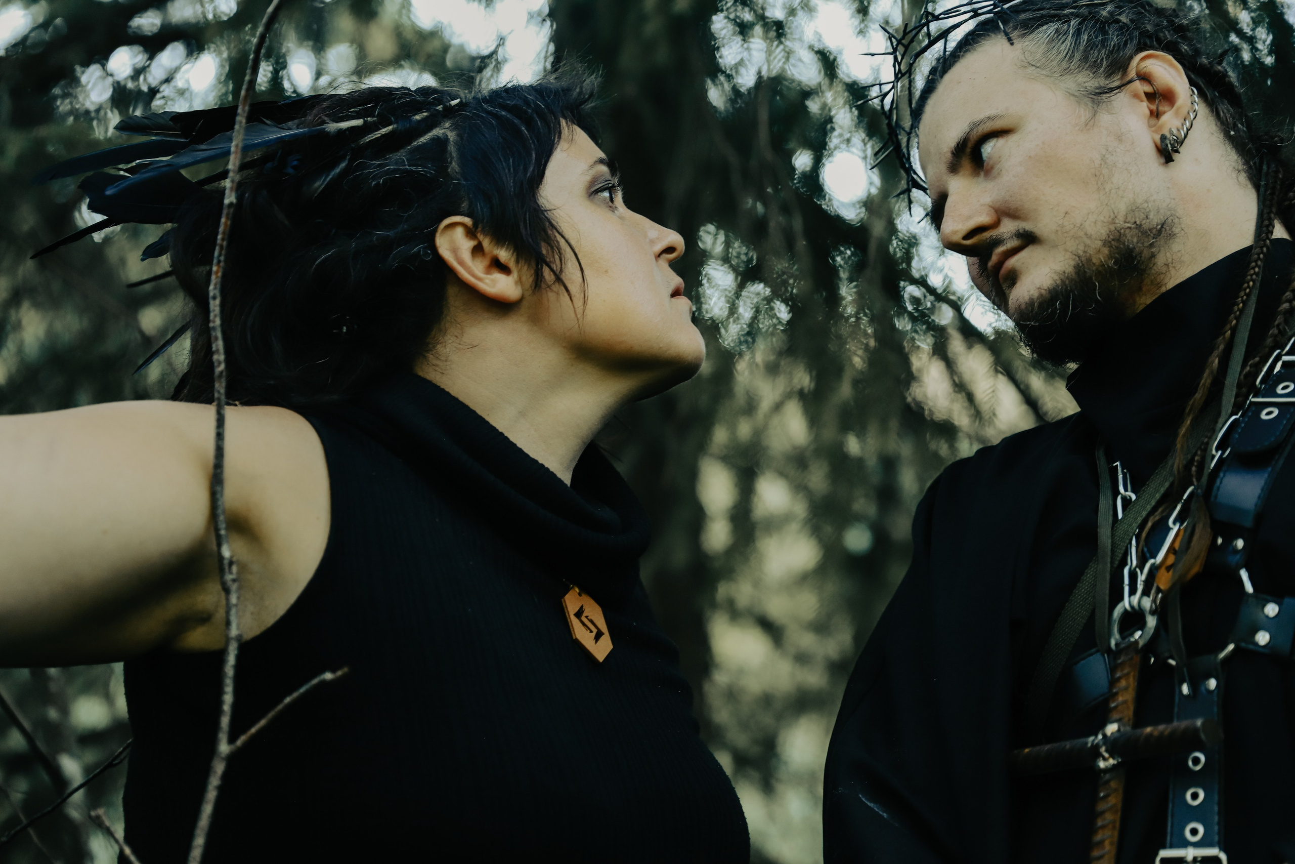 Фестиваль Жива