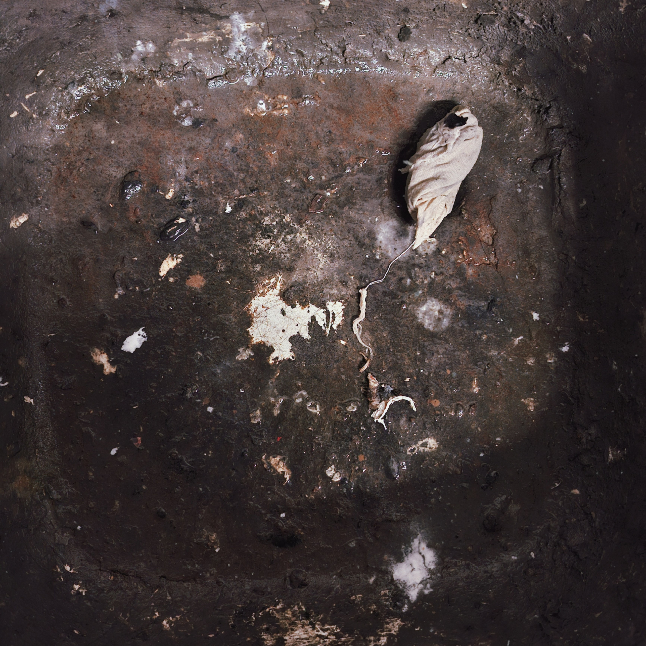 ㅤㅤ. Анна Мильч