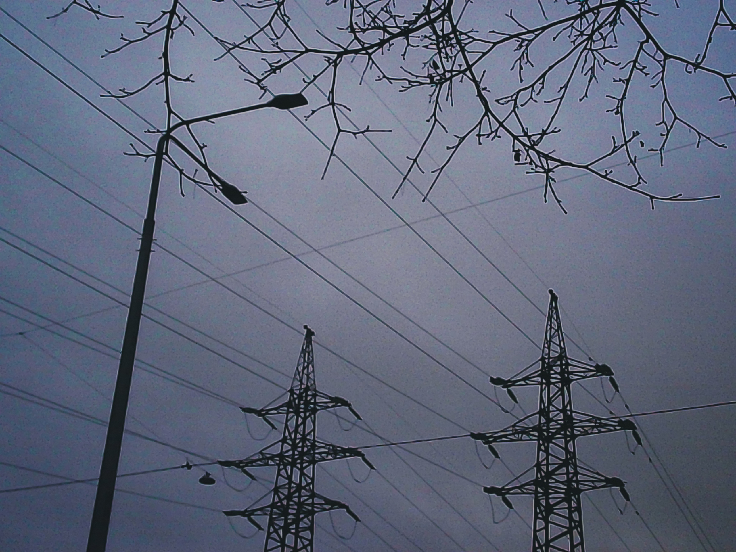 W&o q3. Анна Мильч