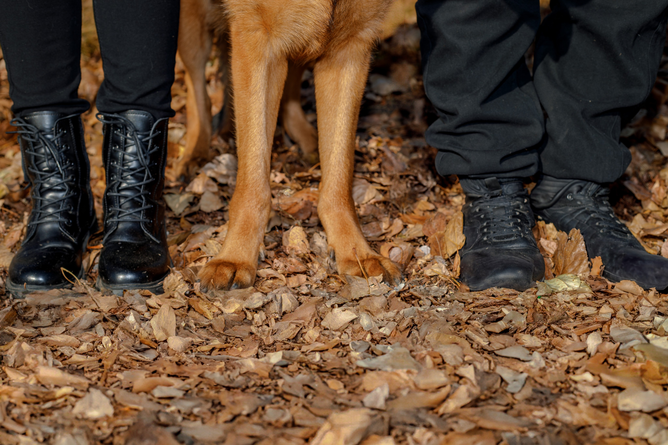 Ди и Джема. Фотограф Екатерина Козловская